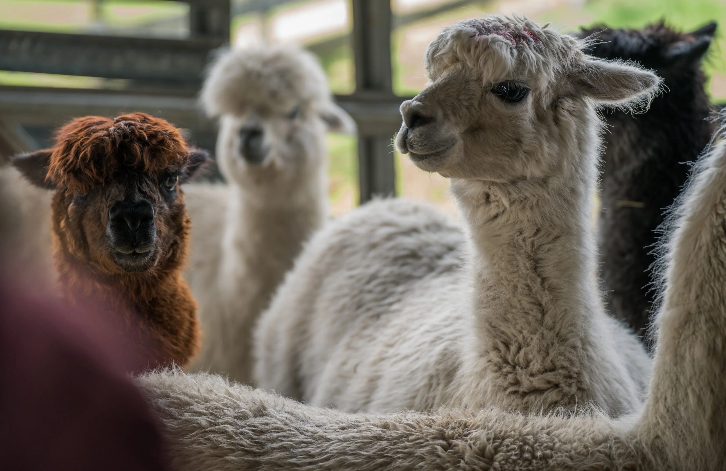 More Joy=Less Wrinkles and that’s cheaper than botox.