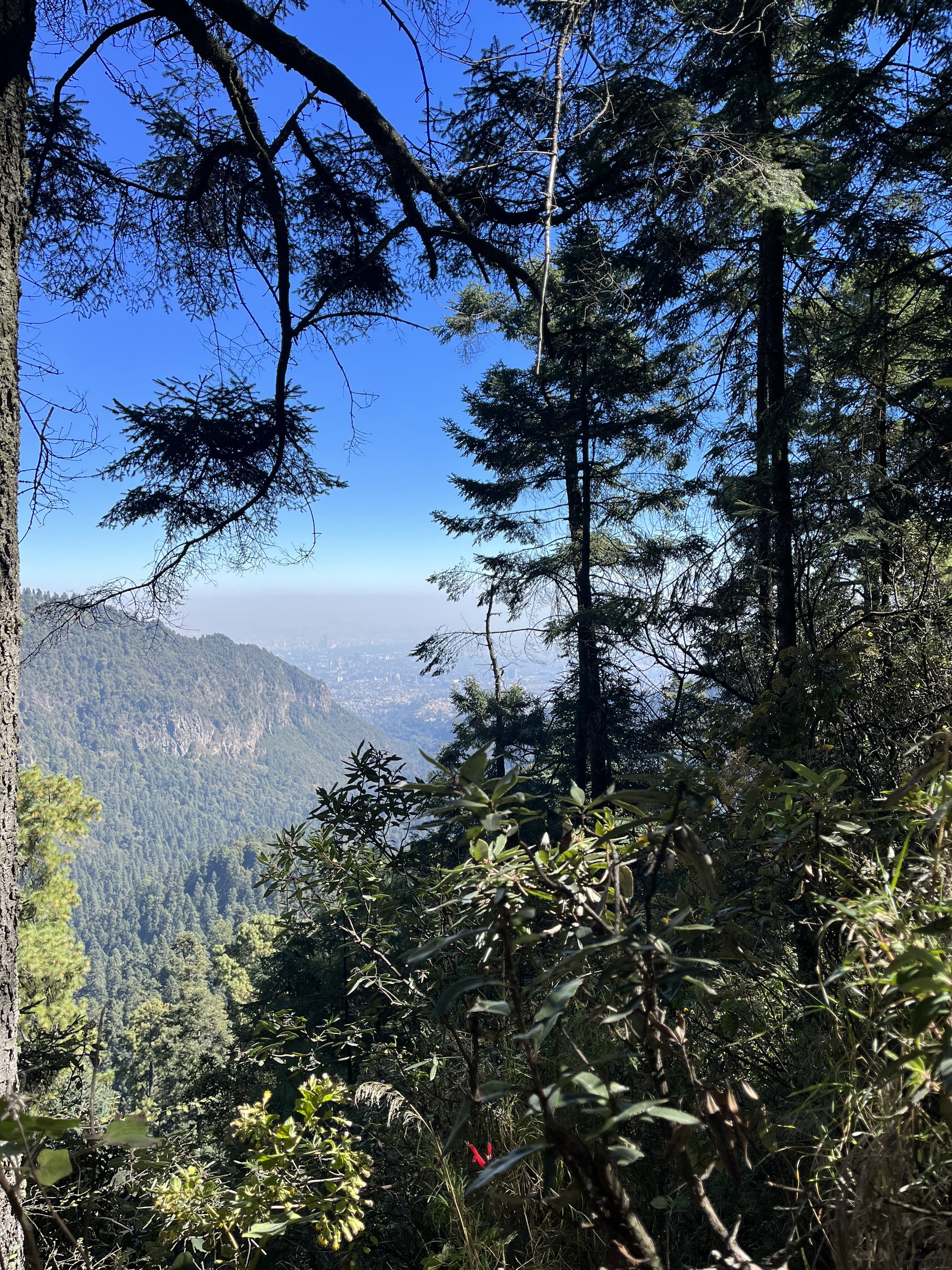 Can we do anything with your pole?