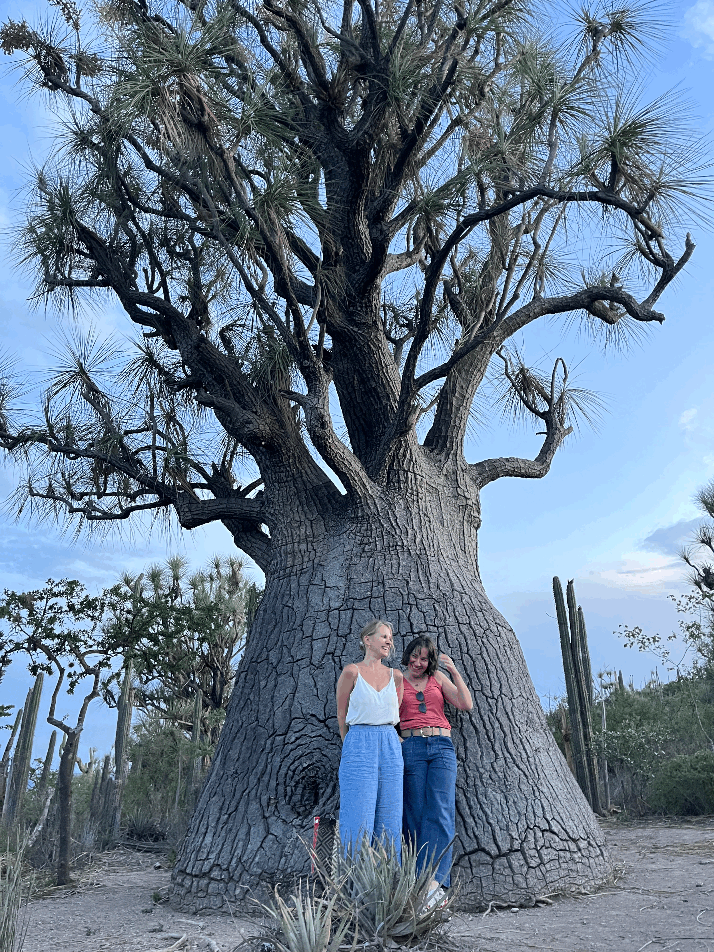 What does a cactus wear to a business meeting?