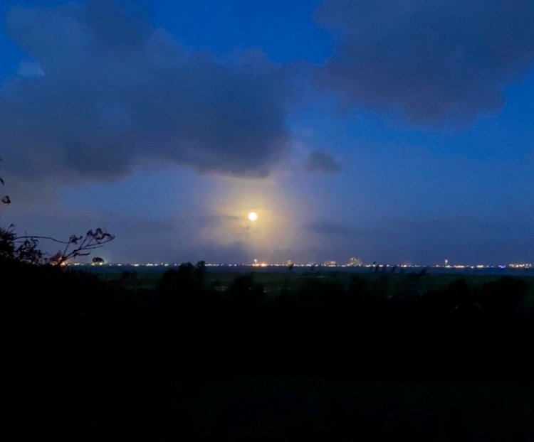 Moon manifesting…SORRY…it doesn’t work.