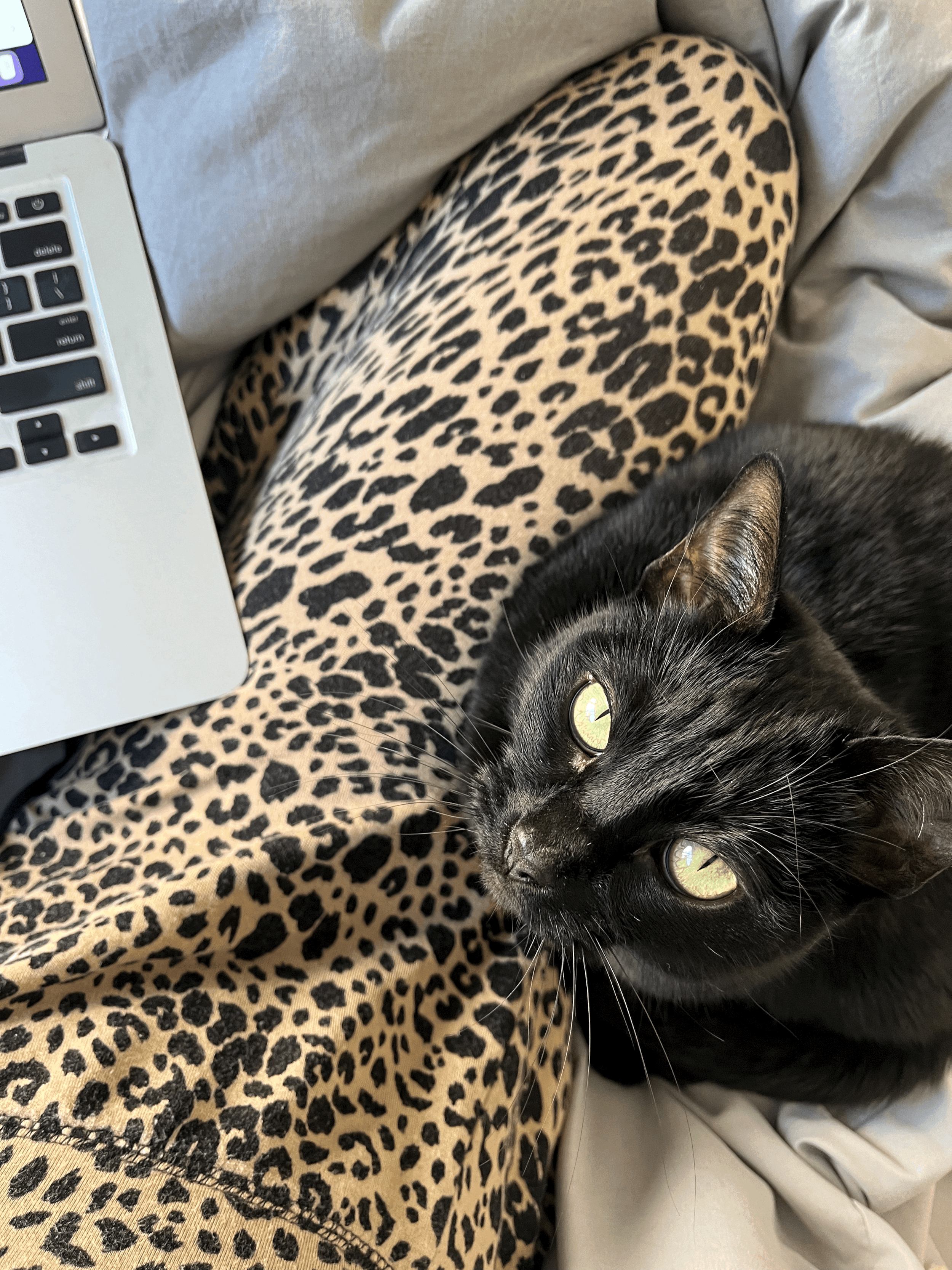 The good thing about being a writer is…