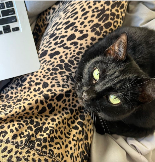 The good thing about being a writer is…