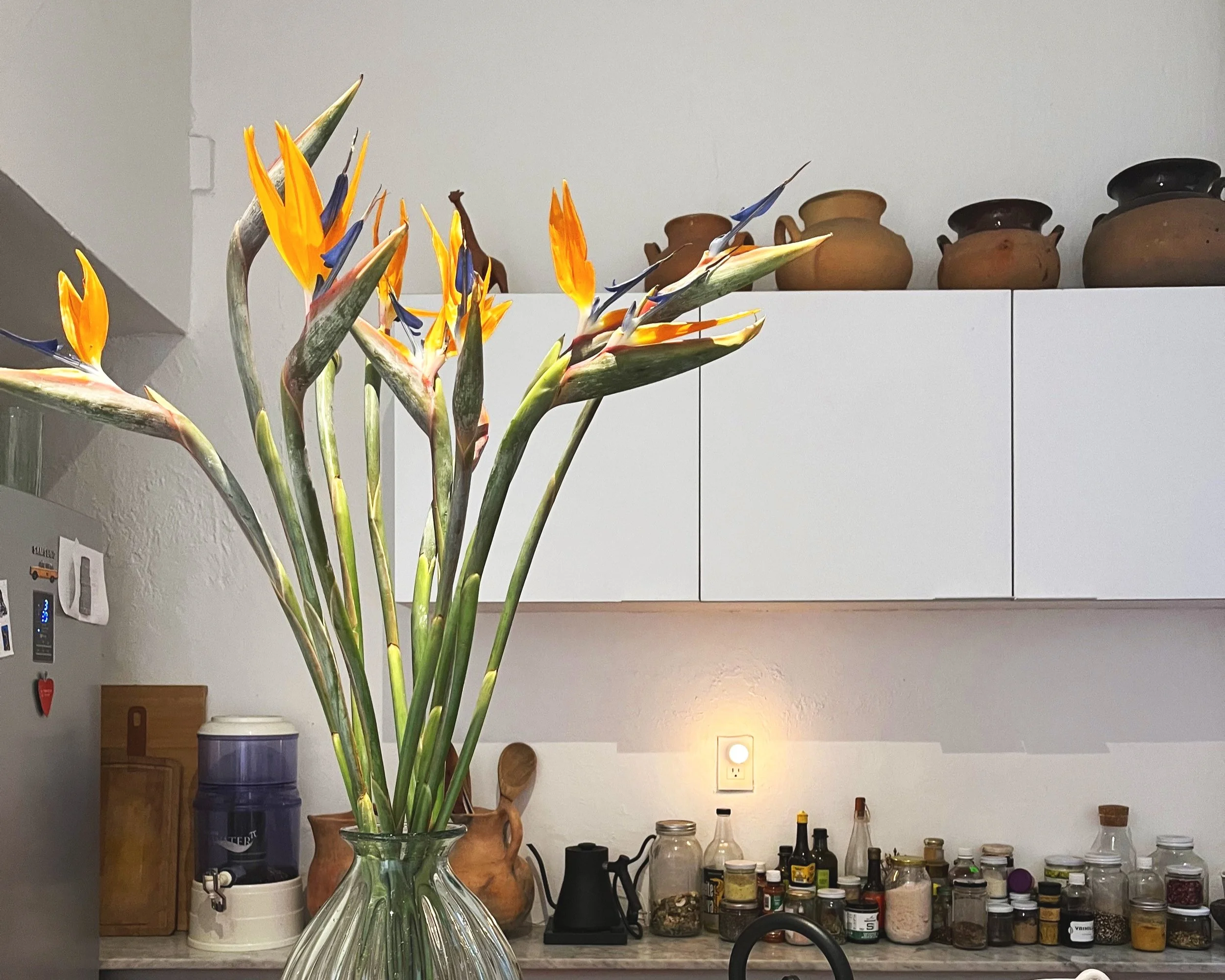 One centimeter to the left.