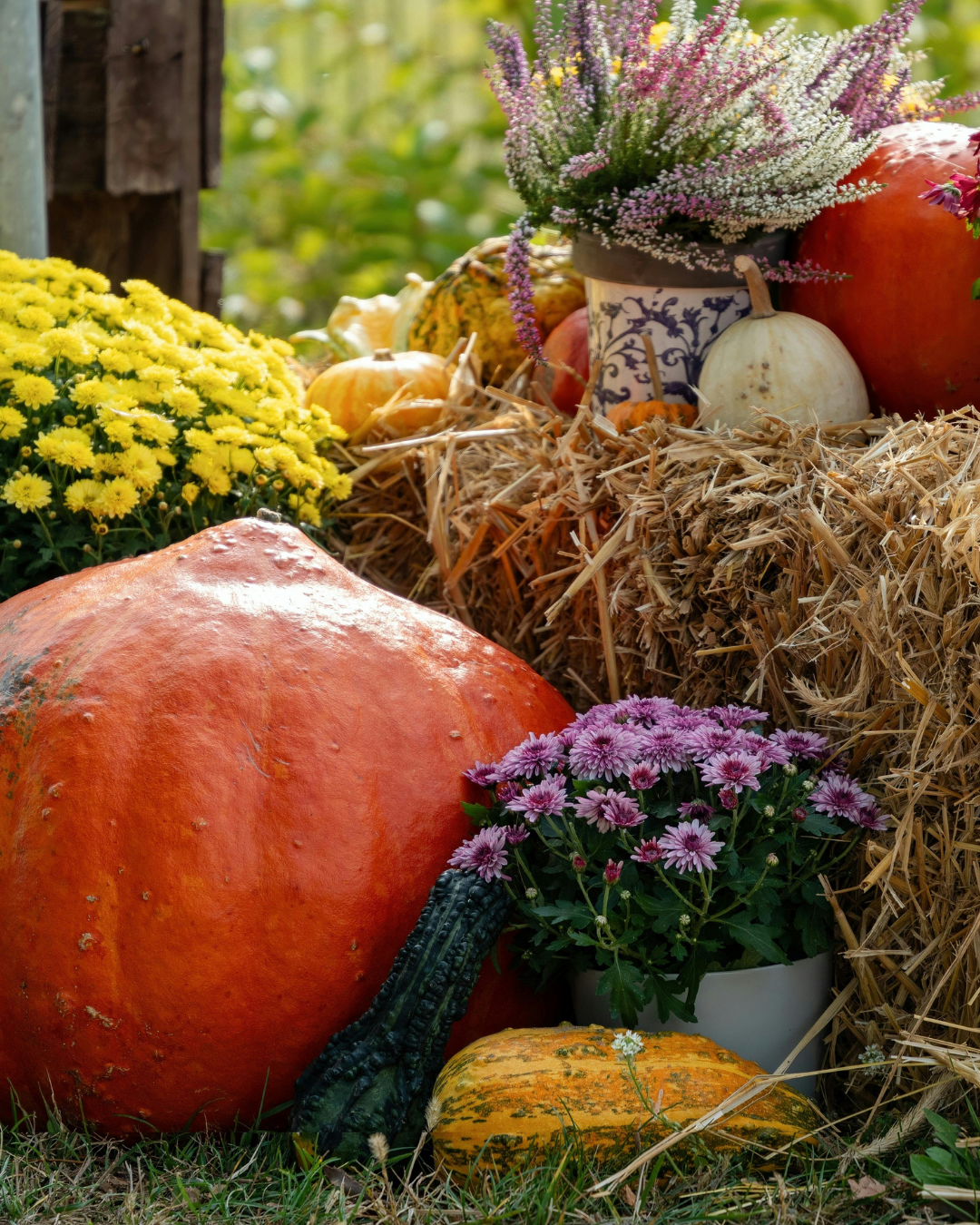 7 Fall Décor Ideas on a Budget — Simplicity & Sunshine