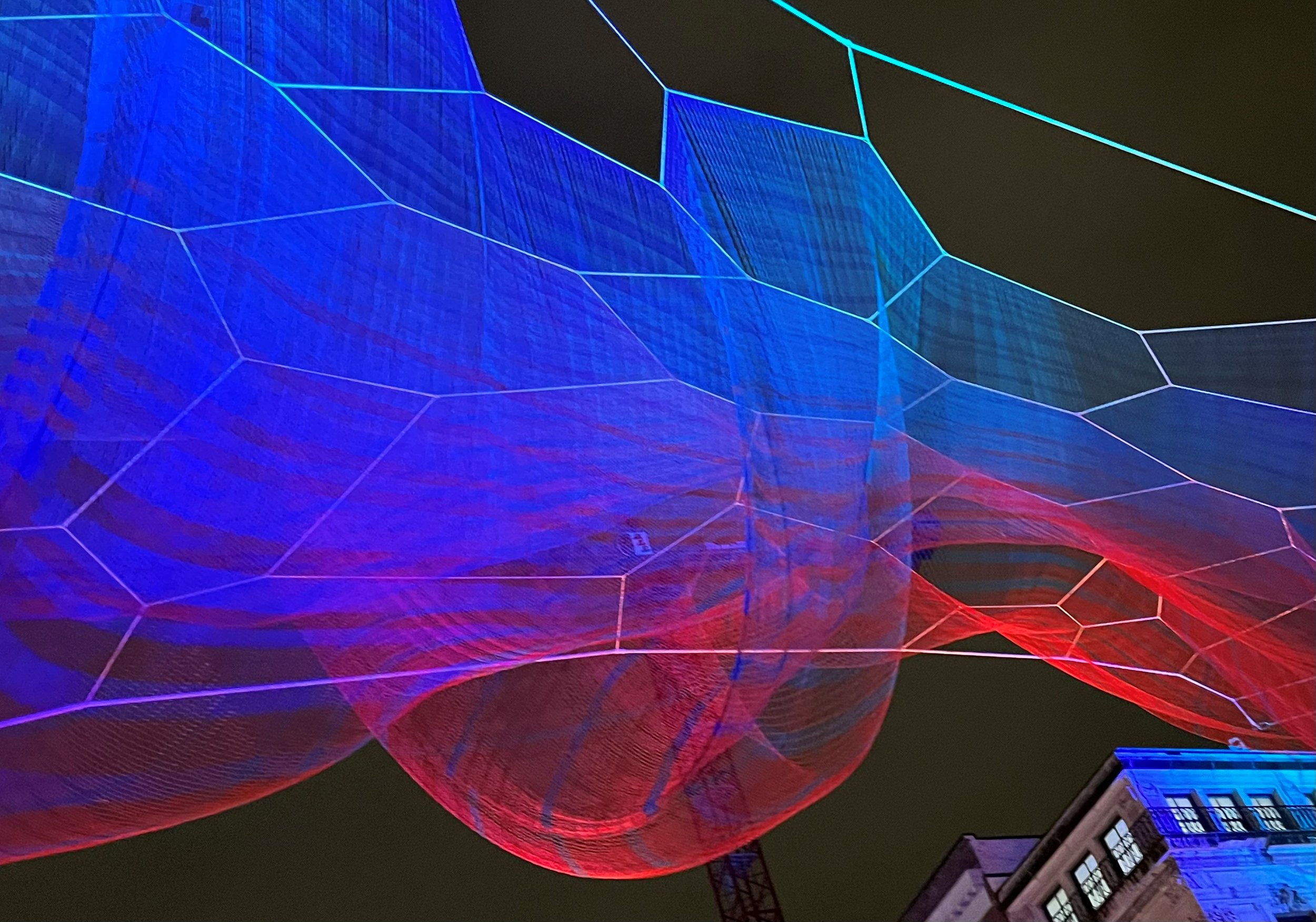 Navigating Crises in the Digital Age