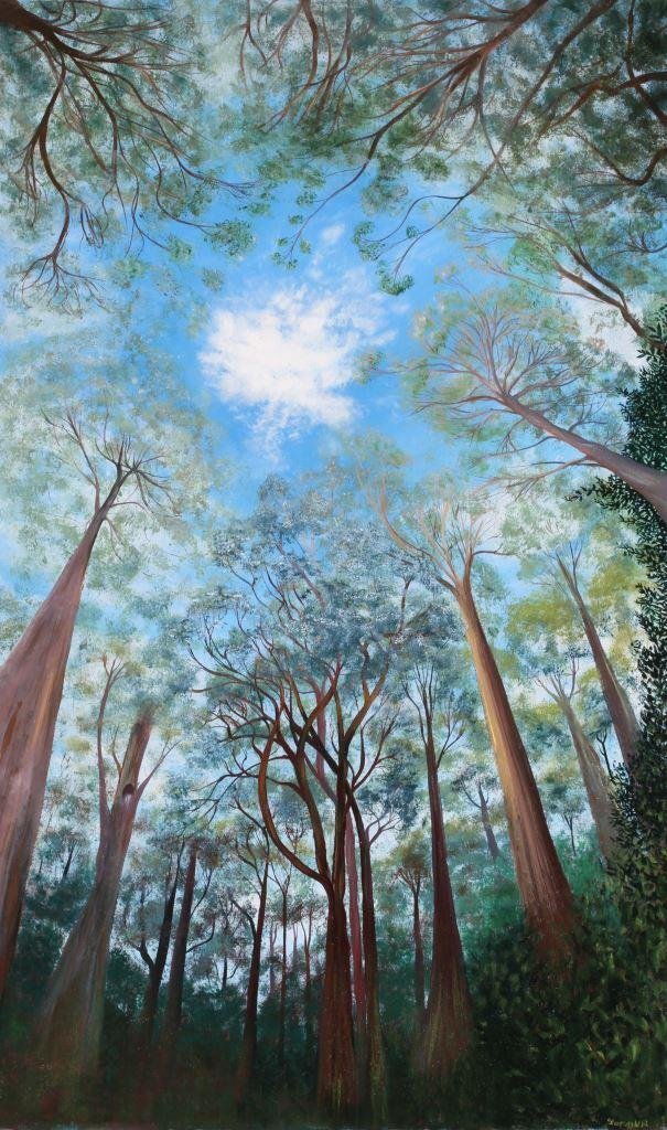 Hastings Canopy