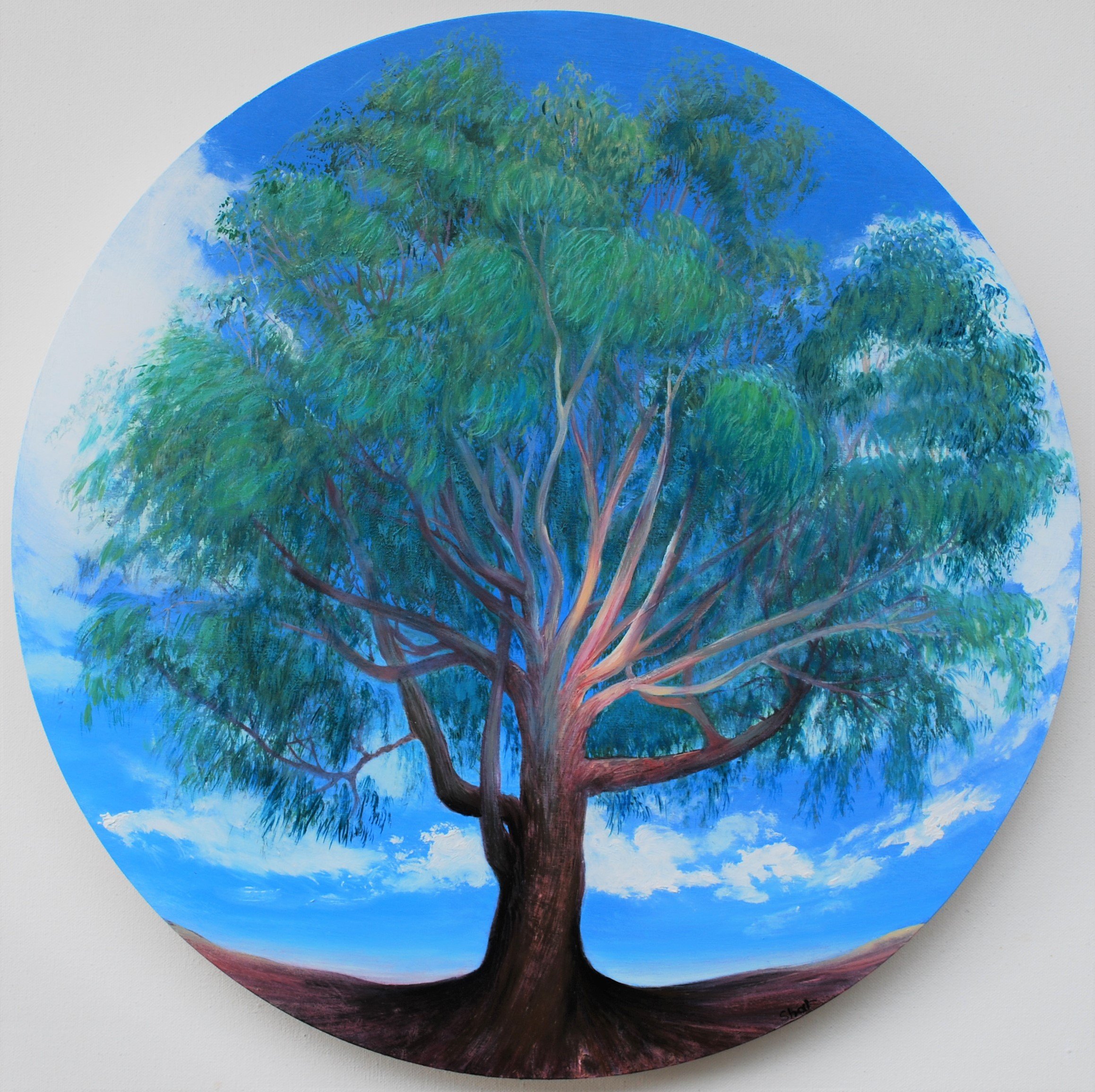 Deborah's Eucalypt