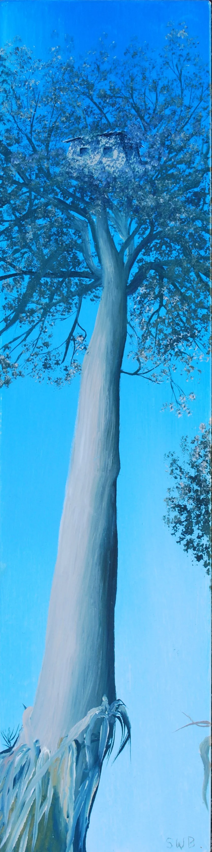 Styx Valley Fire Lookout Tower 1977