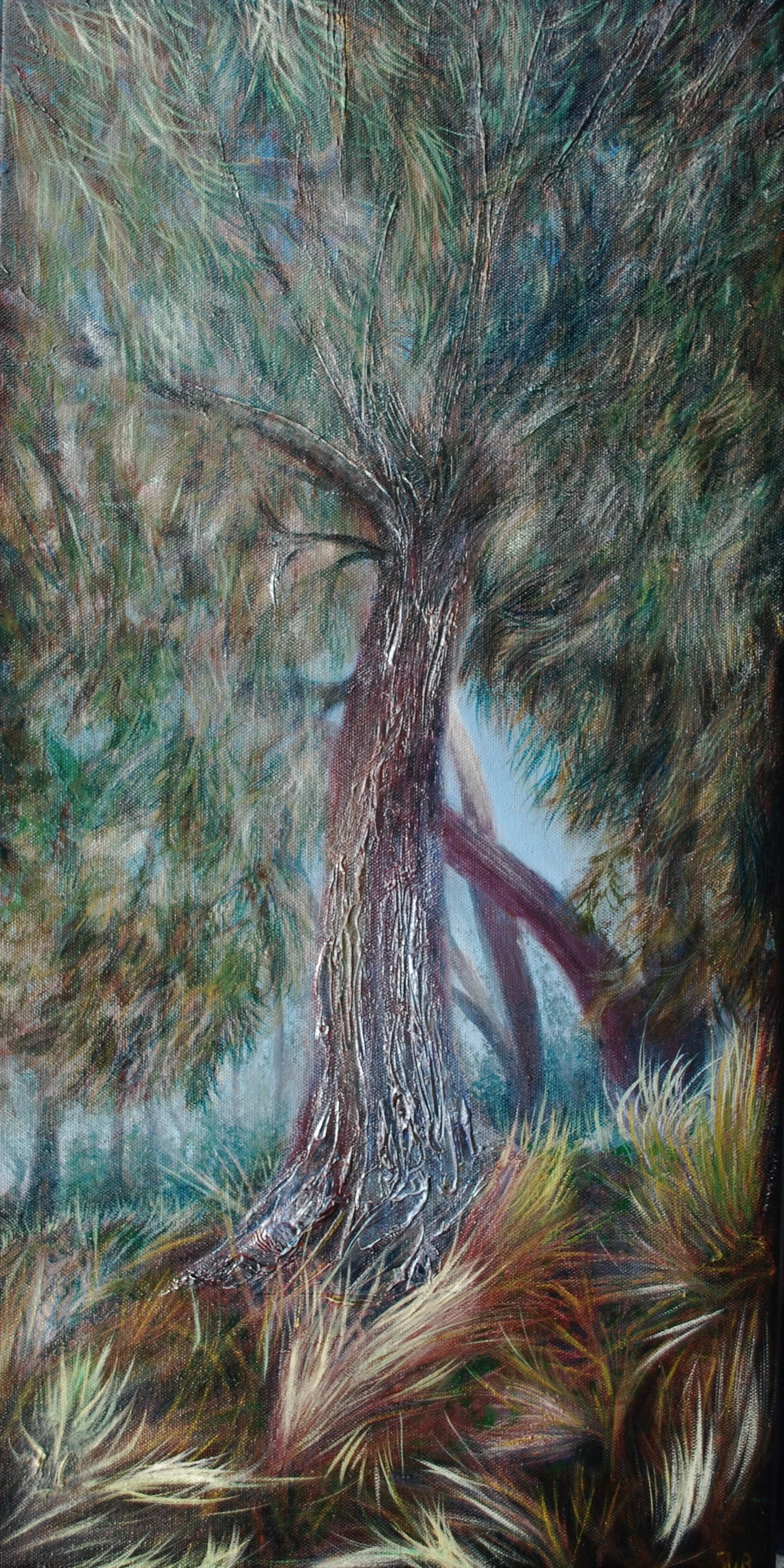 Taroona Beach She Oak