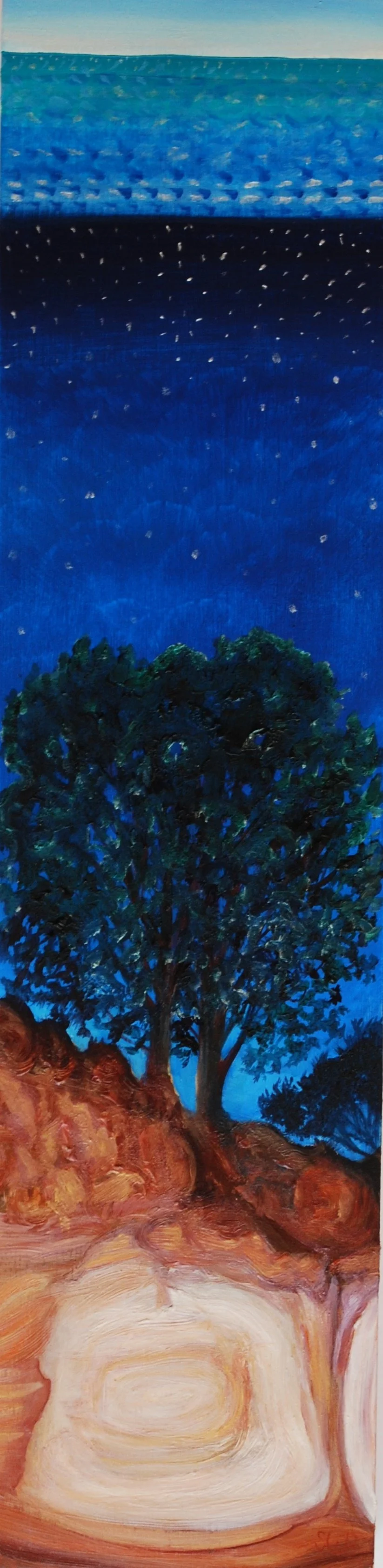 Blanket of Night on Maria Island 10 x30 cm oil on wooden boxed panel
