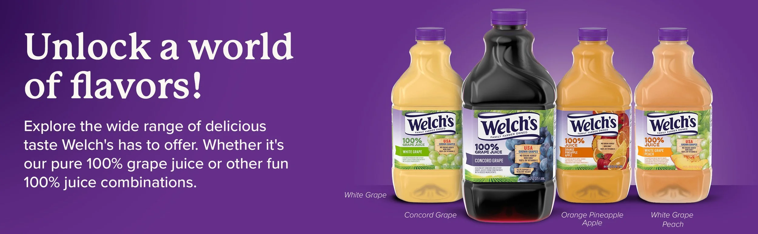 Welchs_PDP_Enhanced_00013986_FinalModule 6.jpg