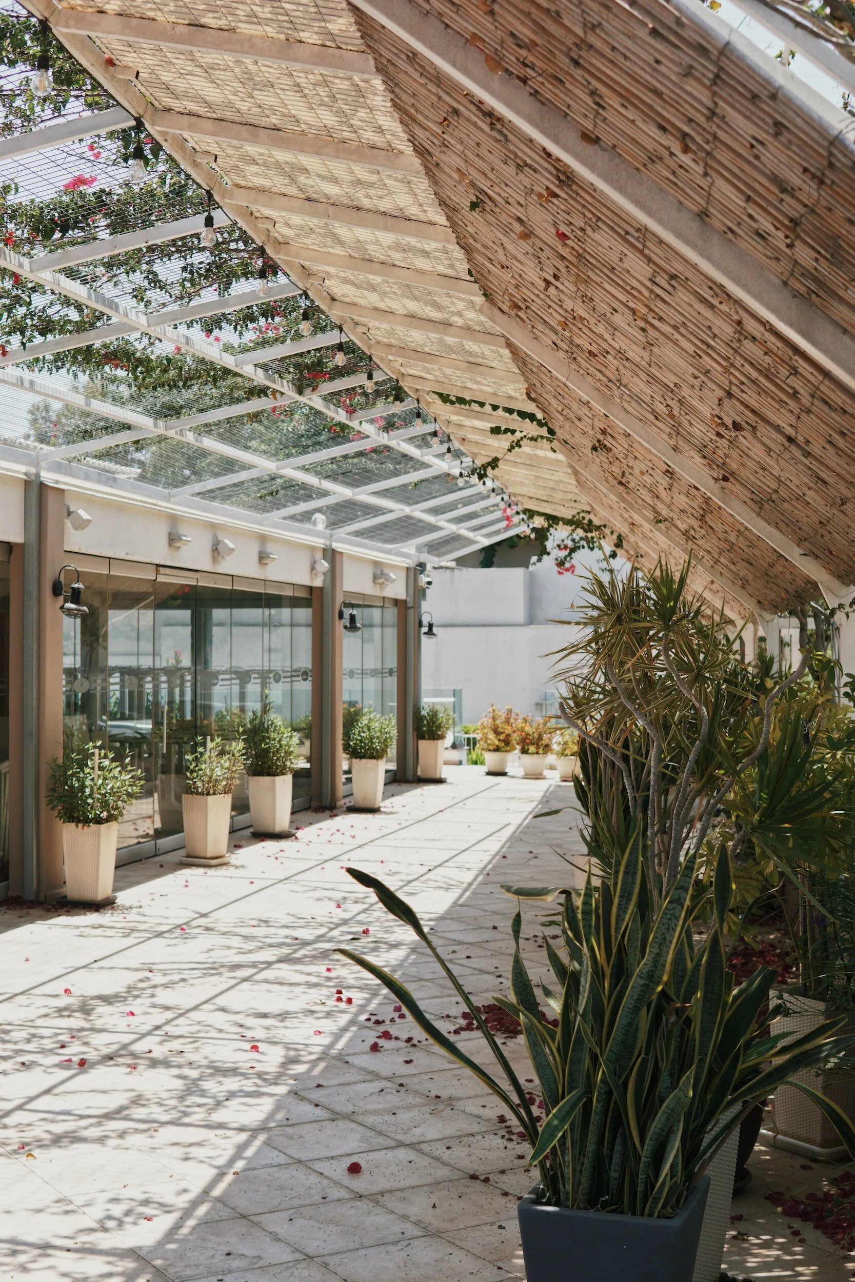 Design and build services