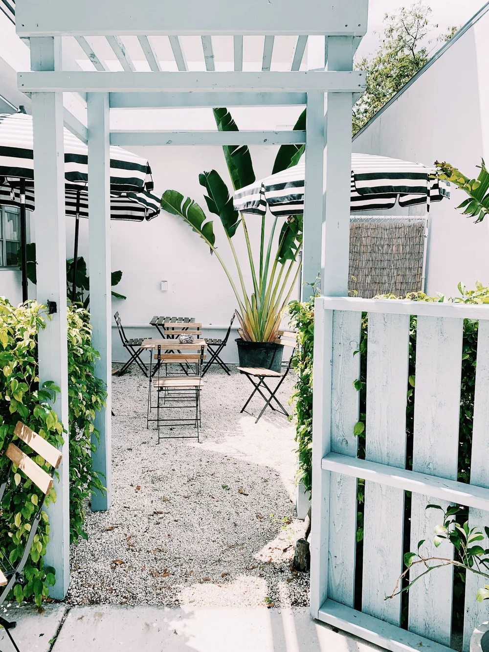 Community garden and gathering spaces