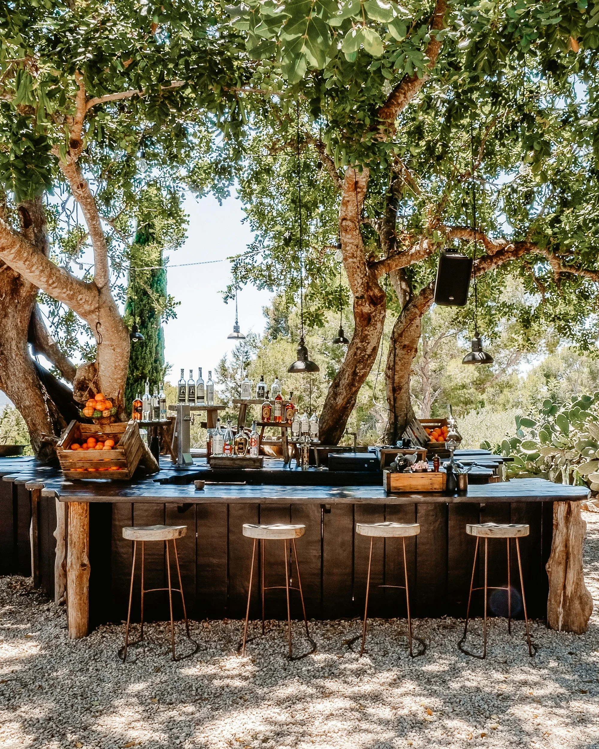 Austin landscape