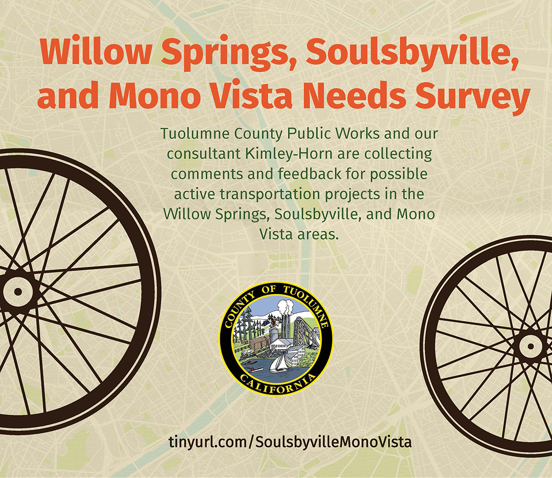 Needs Survey Flyer.png