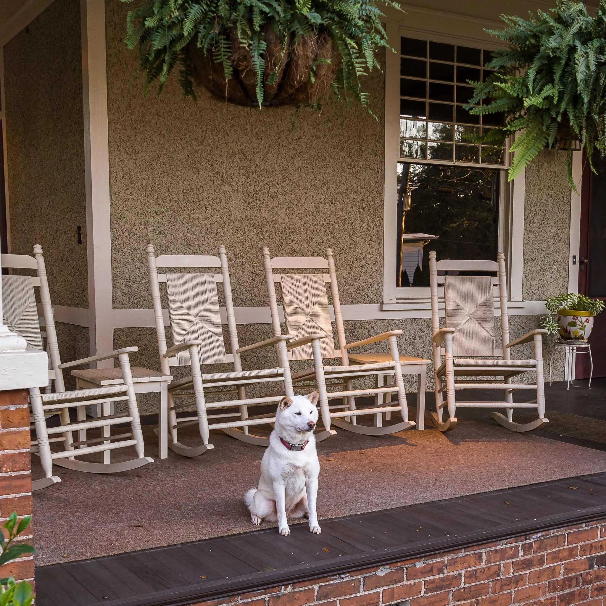 279 Henderson Ave-3.jpg