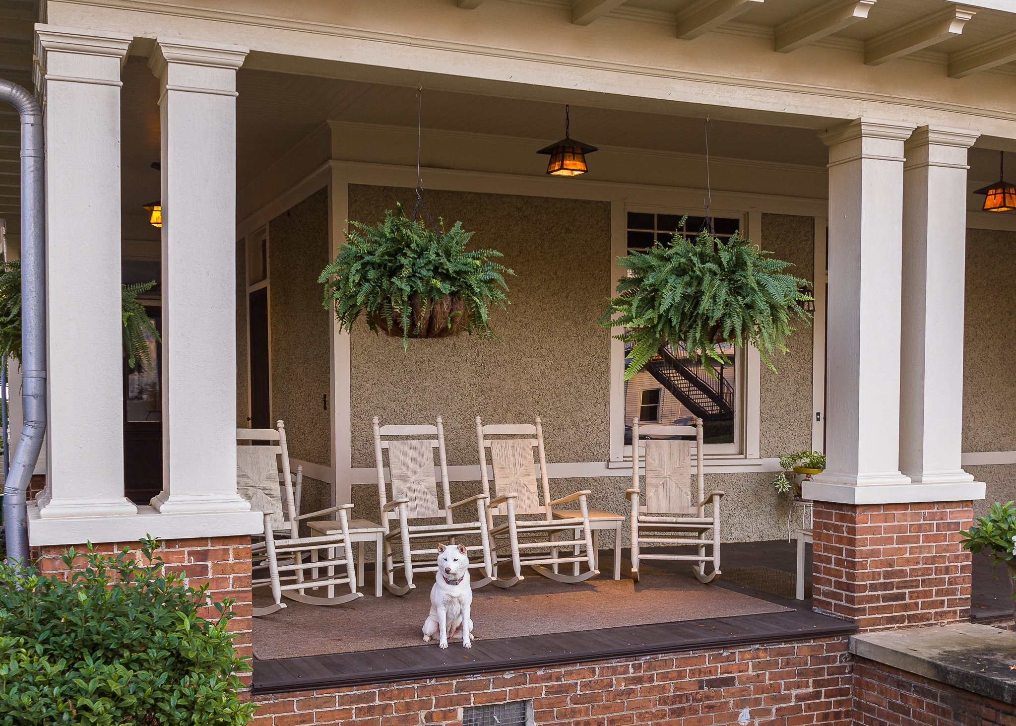 279 Henderson Ave-2.jpg