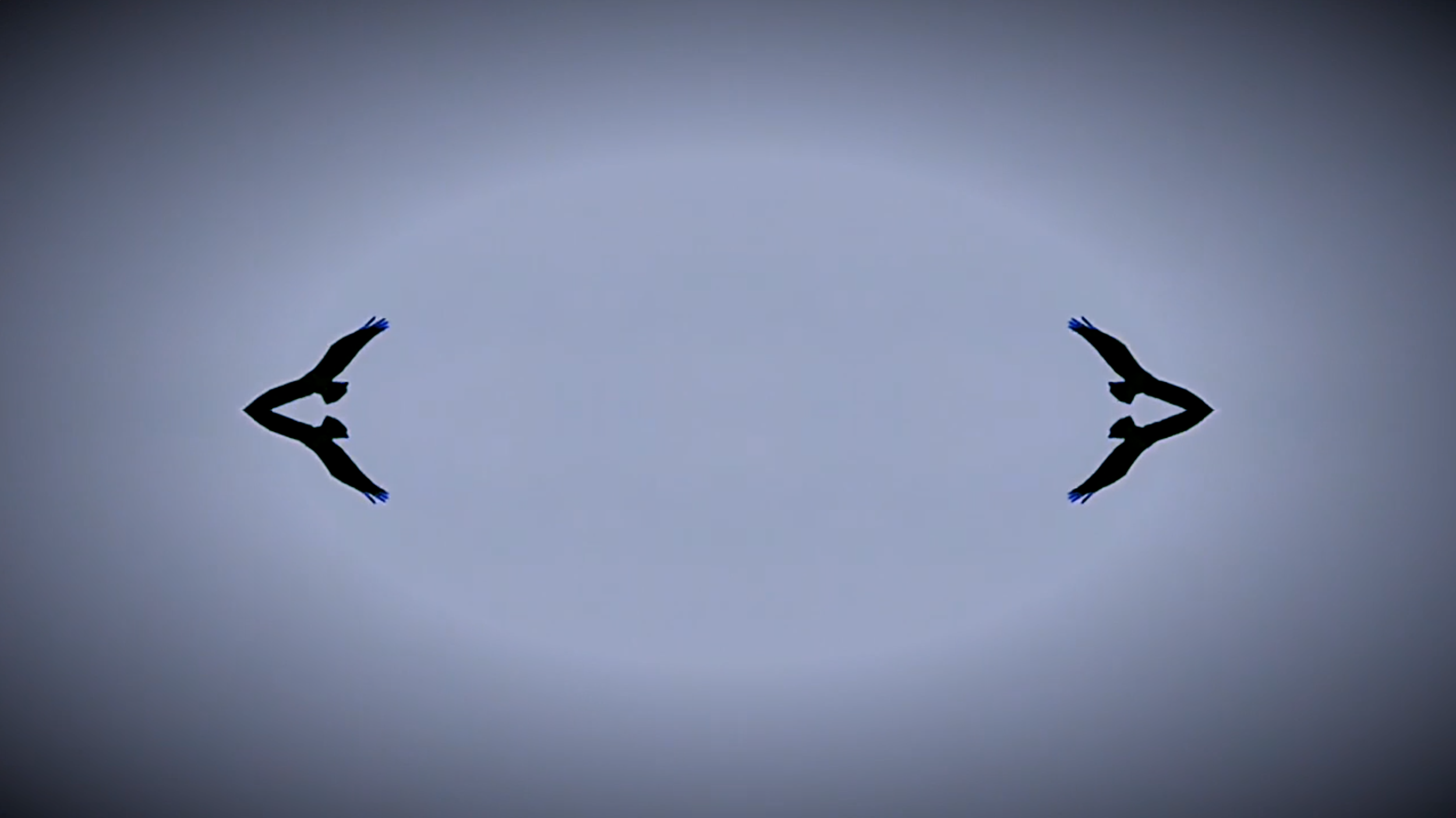 Screen Shot 2022-01-24 at 5.59.14 PM.png