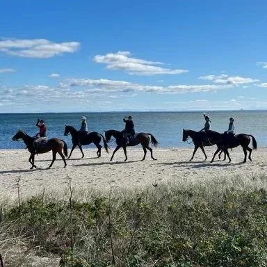 Group Beach Ride