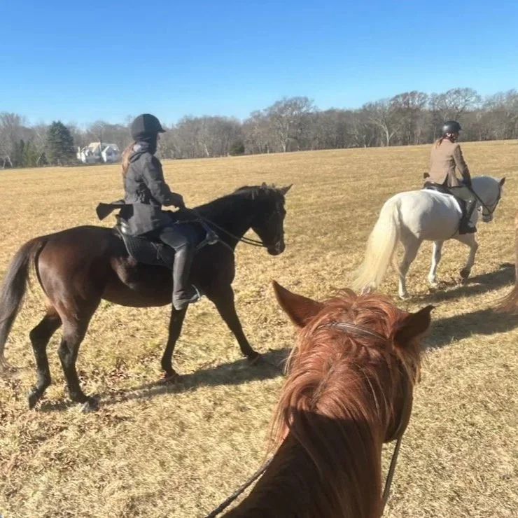 Turkey Trot Group Trail Ride