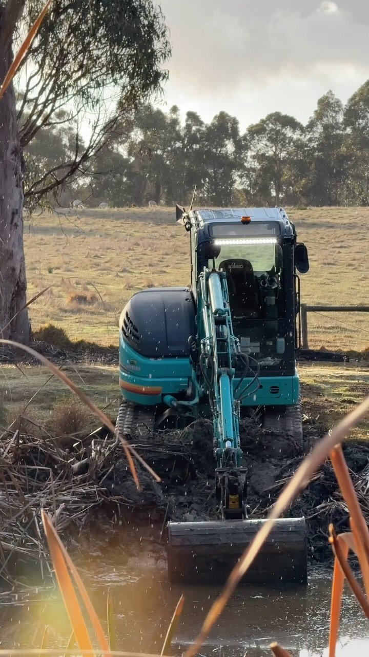 If water is your priority then the reeds have got to go! Why do you need to get rid of them you ask? They consume the area that would otherwise be there for the water to fill. I have removed around 200m3 of reeds from this small damn. That’s 20