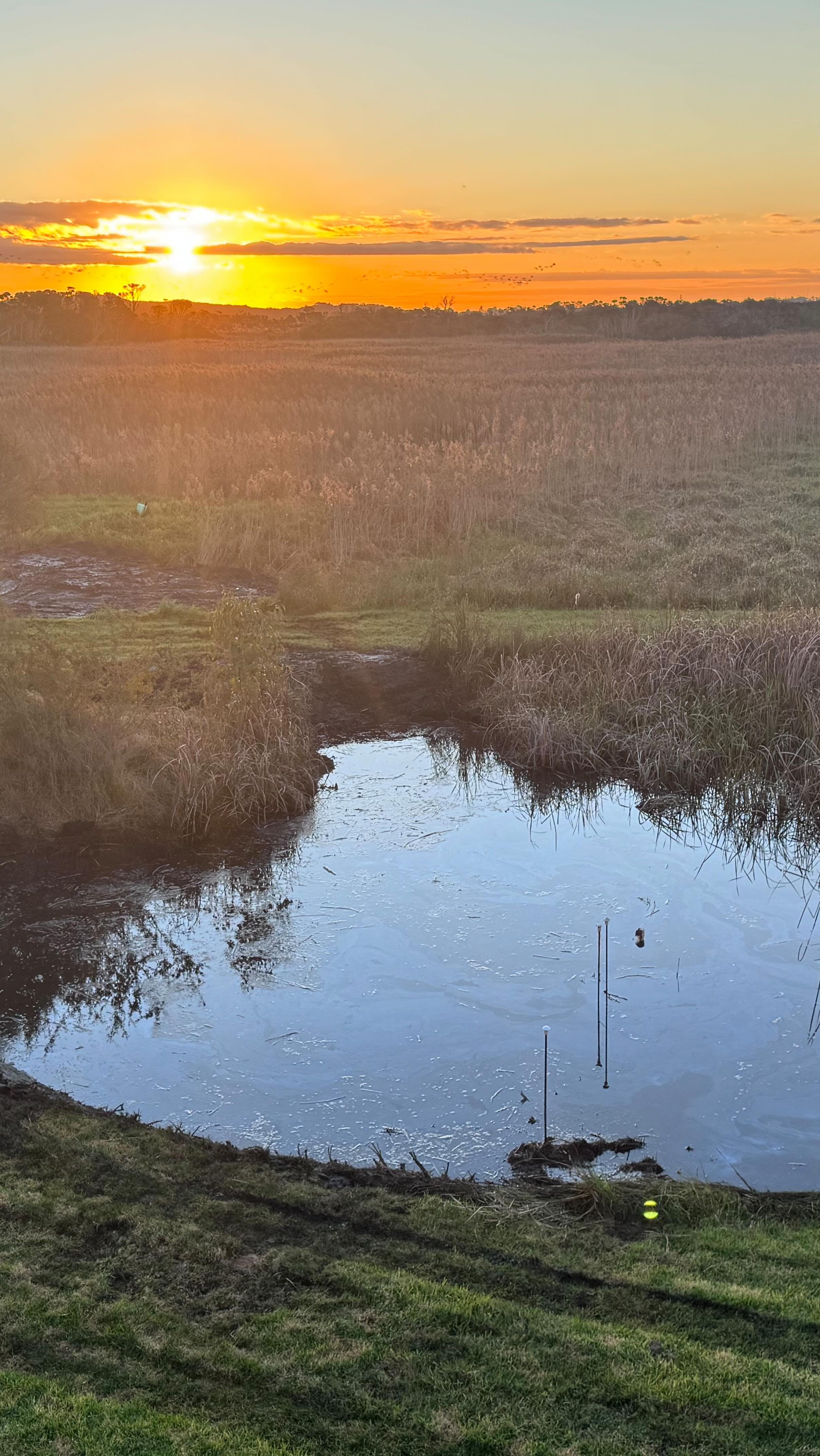 And another dam cleaned up for this happy rural customer. More of a small ornamental dam but overrun with reeds. Used the truck to move the waste onsite before heading back to the yard for another clean. 😎
#terrapro #terraproearthworks #owneroperat