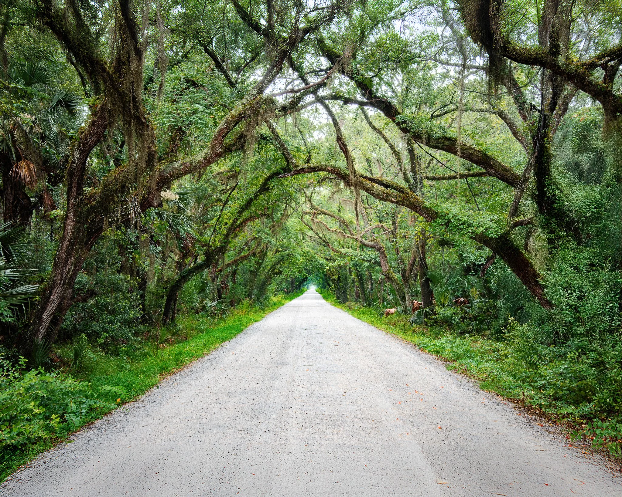 Botany Bay Road