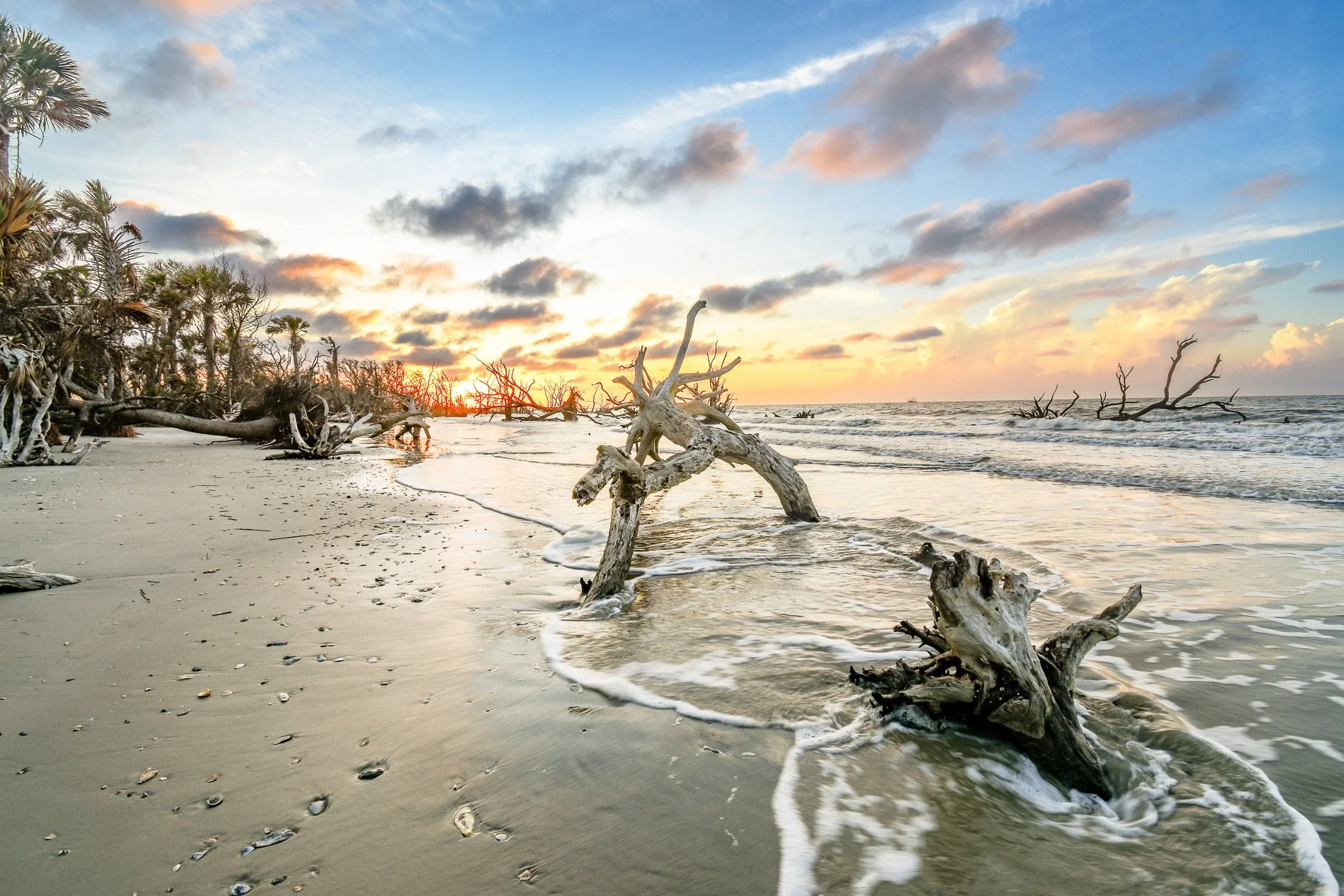 Botany Bay Sunrise