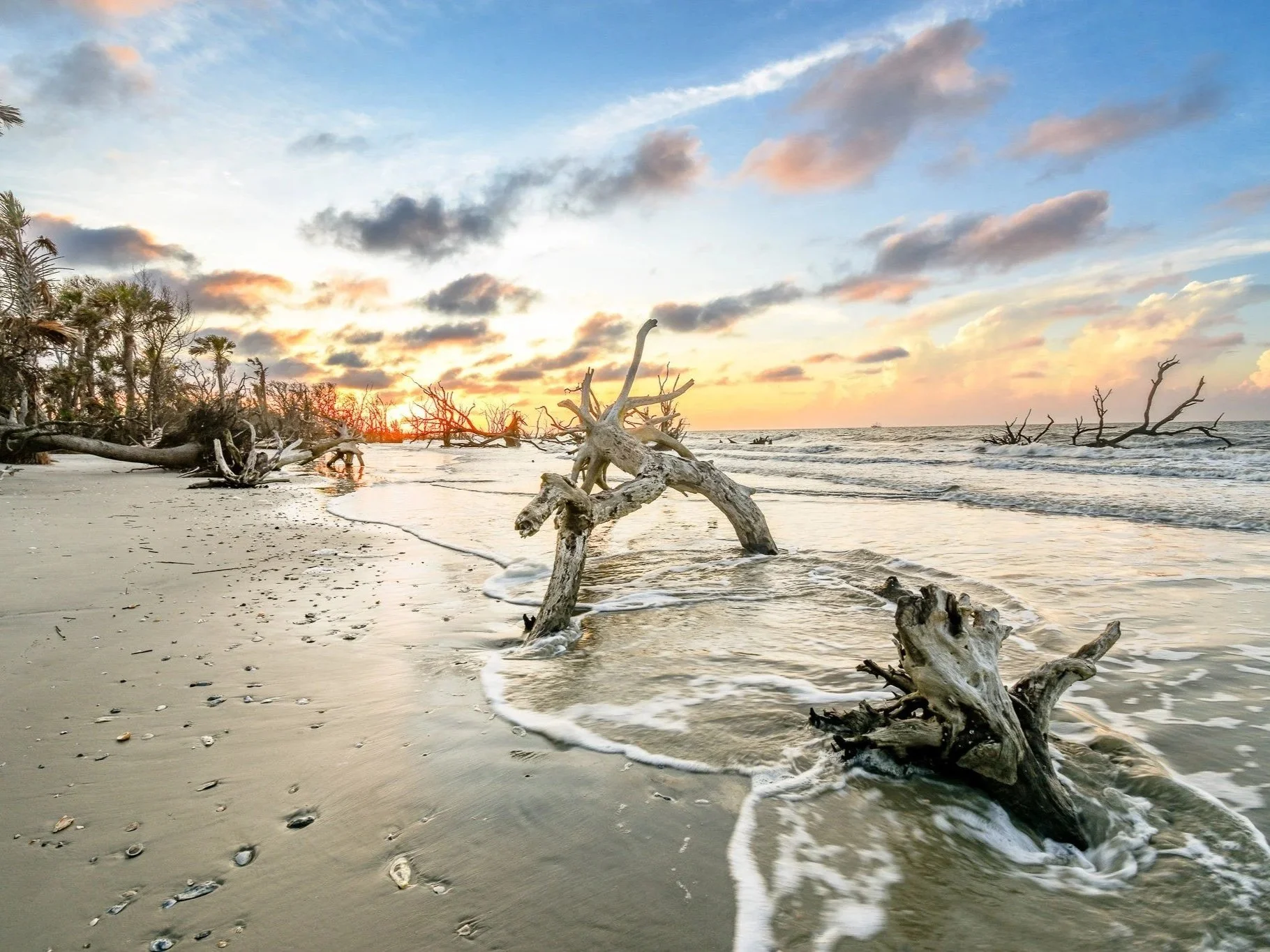 A beach scene during sunset with driftwood scattered along the sandy shore, some partially submerged in the ocean water, with a sky filled with scattered clouds and the sun setting on the horizon.