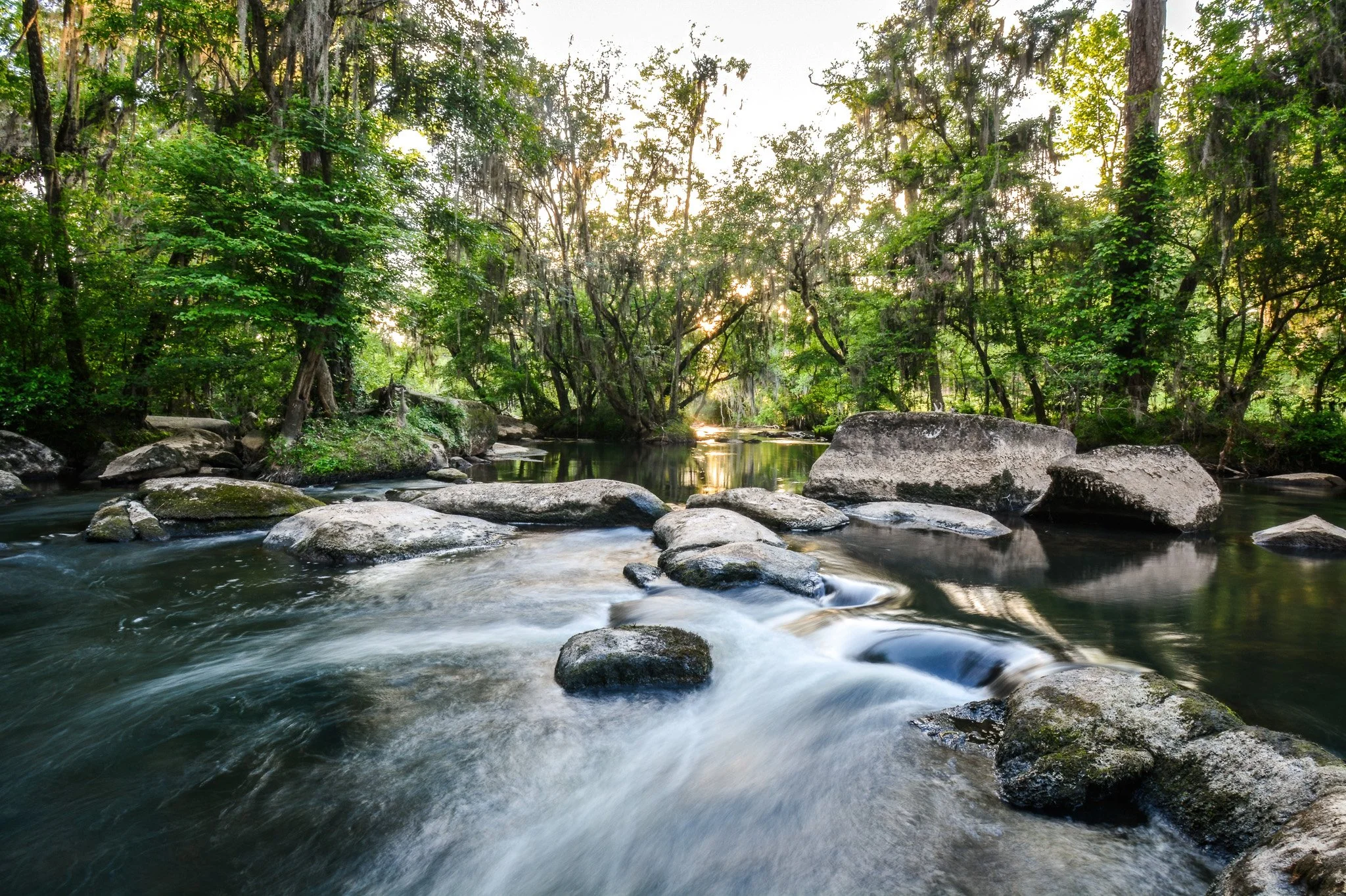 Sunlight peeking through dense green trees over a flowing river with rocks.