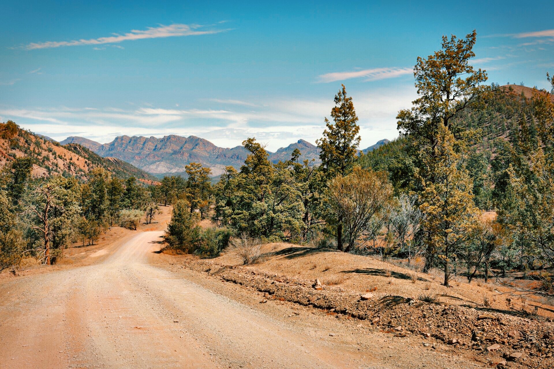 Ikara-Flinders Ranges National Park, South Australia