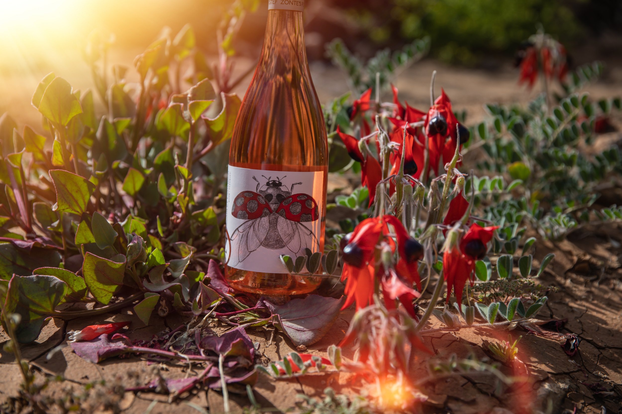 Lifestyle product photography for Zonte's Footstep winery in McLaren Flat