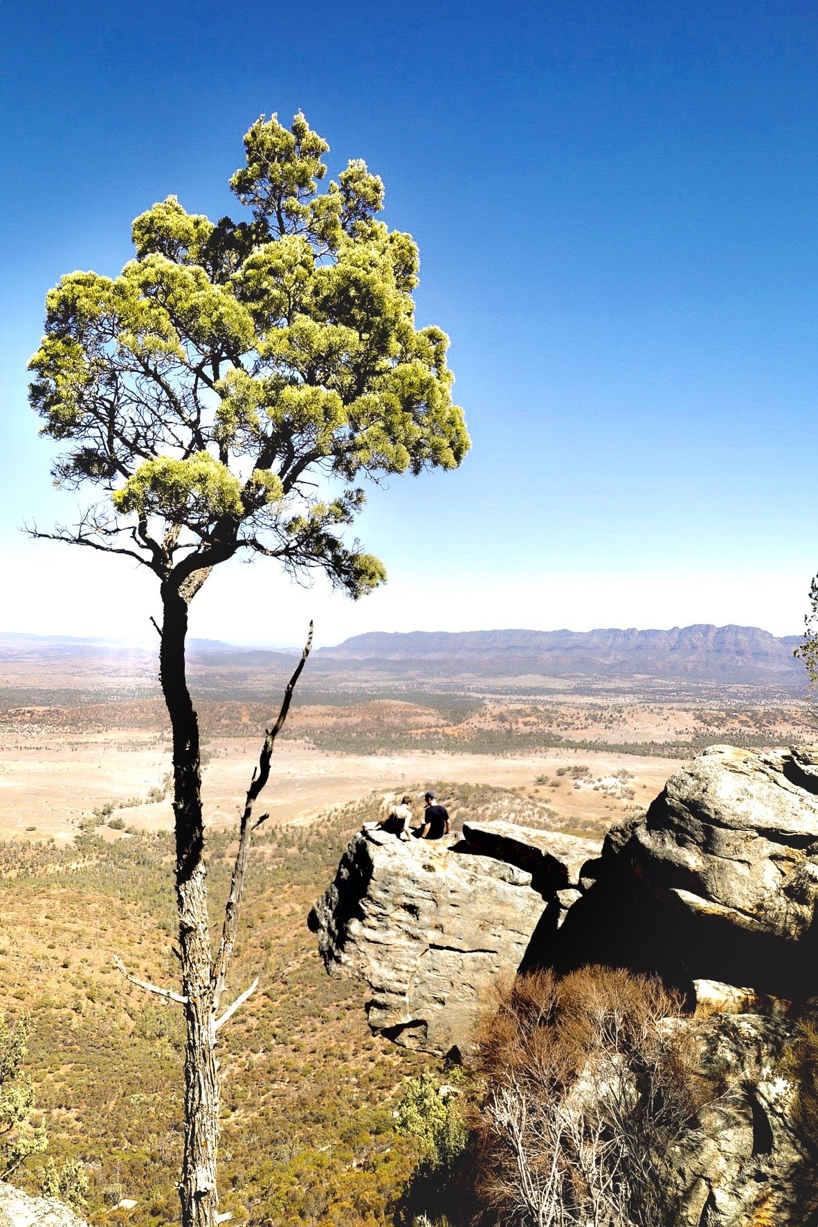 Hiking in the Kara-Flinders Ranges National Park, South Australia