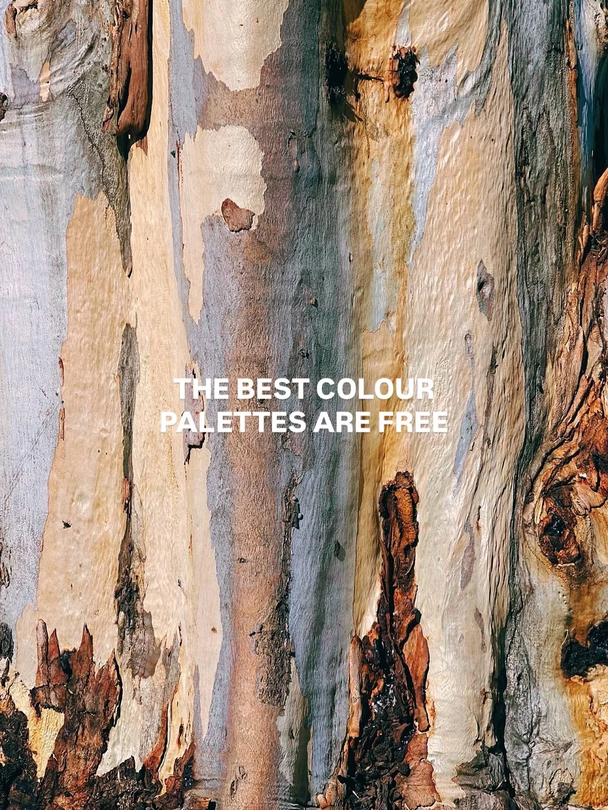 THANK YOU NATURE 

#colourpalette #colourful #colourfulart #natureart #colour