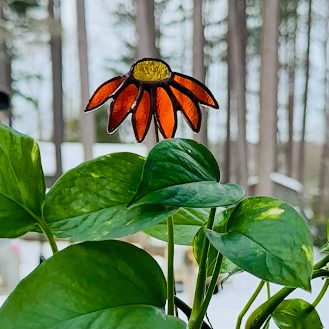 Spring is in the air, I can feel it 🧡