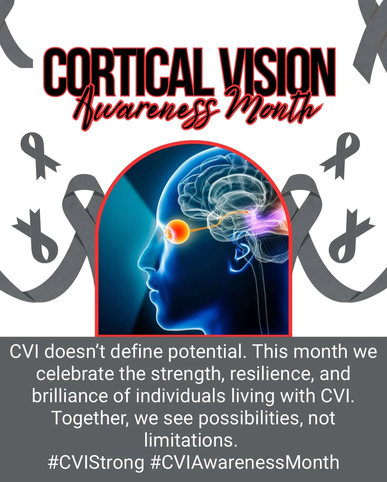 ๐ก Cortical Vision Impairment doesn’t define potential. This month, we honor the strength, resilience, and brilliance of those living with CVI. Together, we see possibilities, not limitations. ๐ชโจ
#CVIStrong #CVIAwarenessMonth
•
•
&bu