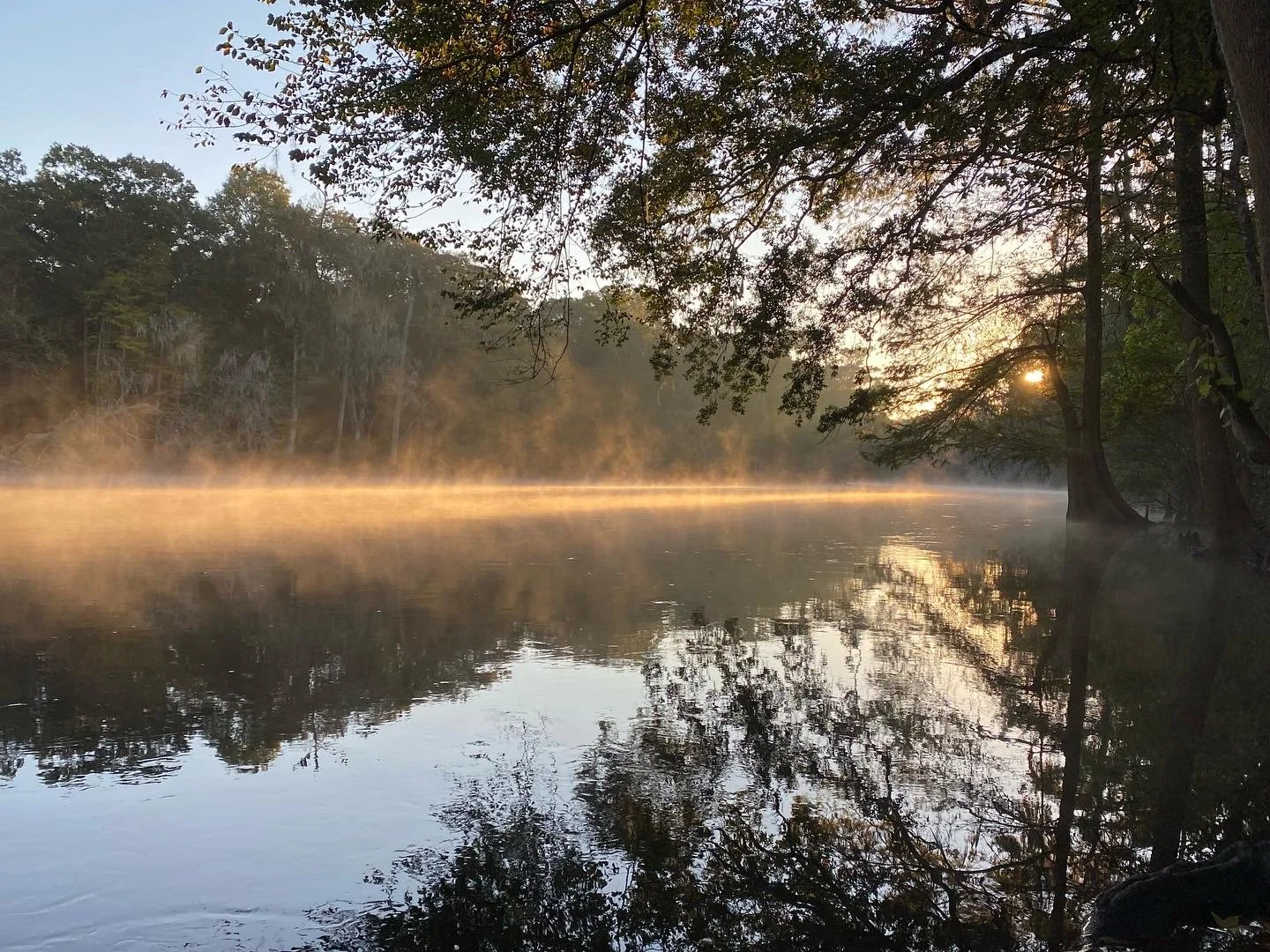 F30E8034-C1BE-4578-9CF5-BD914C1A745A.jpg
