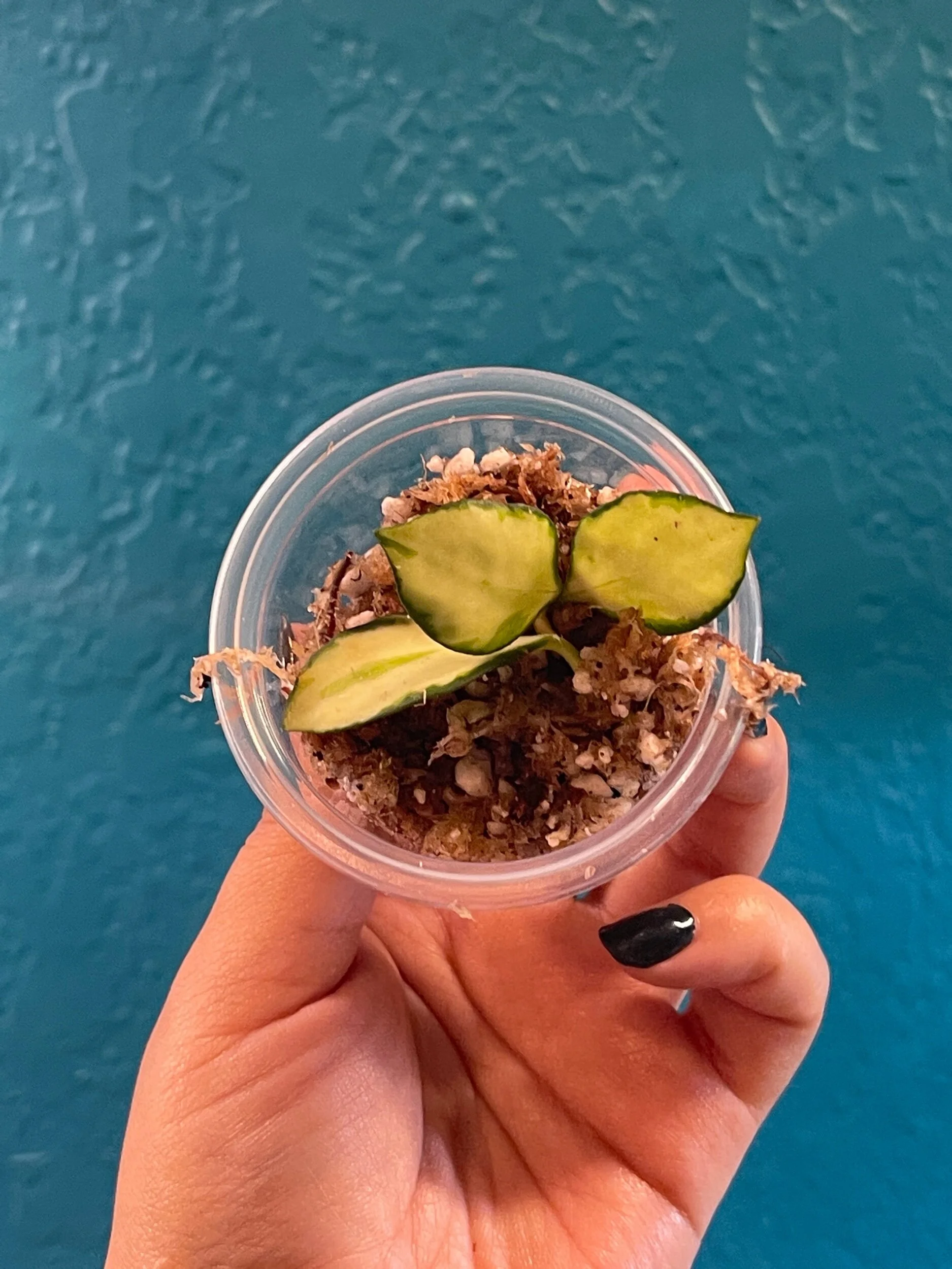 FF748DD9-6BB7-494F-904D-4C9BC3B4722E