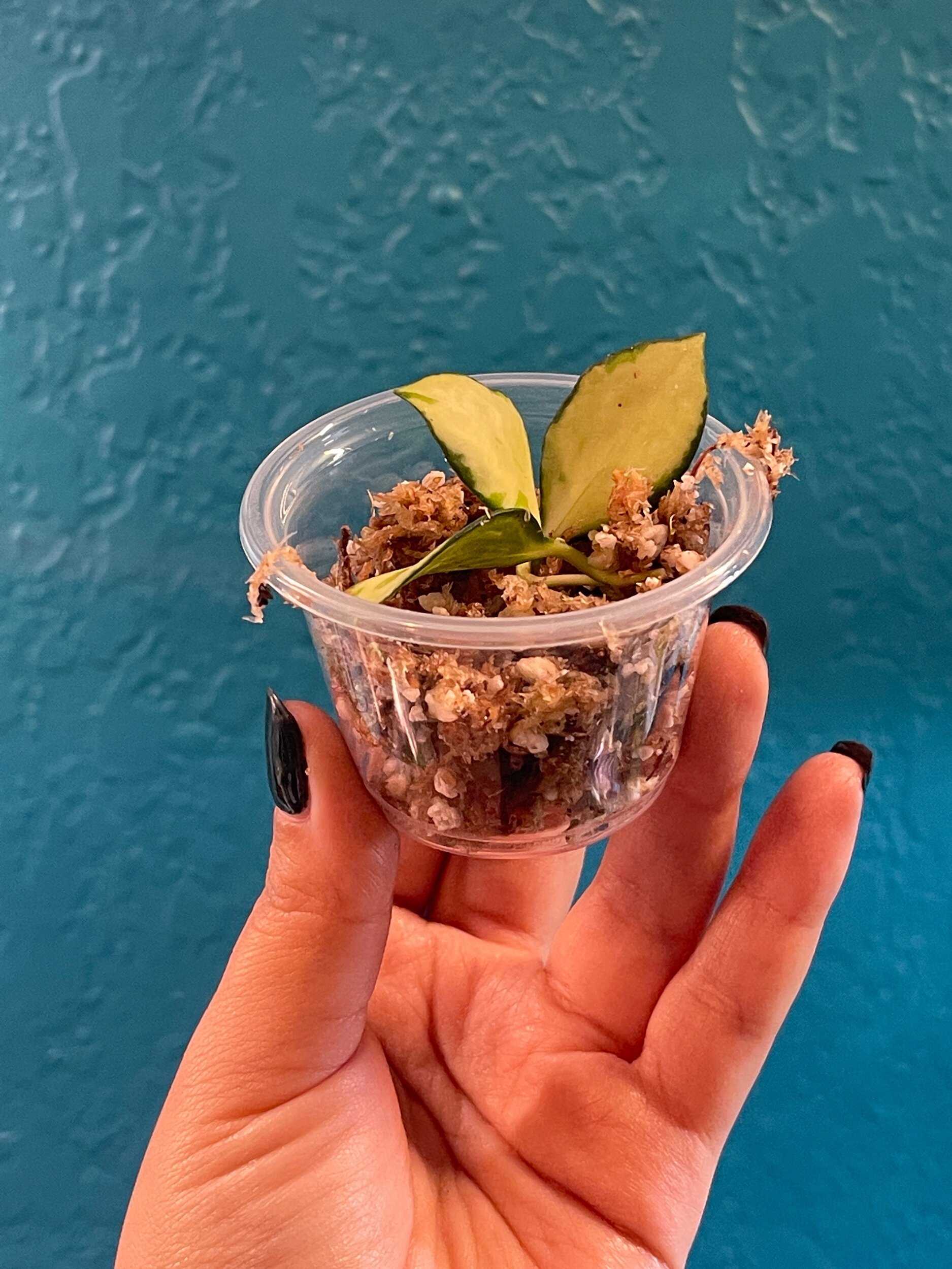 A5FD5CED-D18D-437E-B062-6C9F0135936B