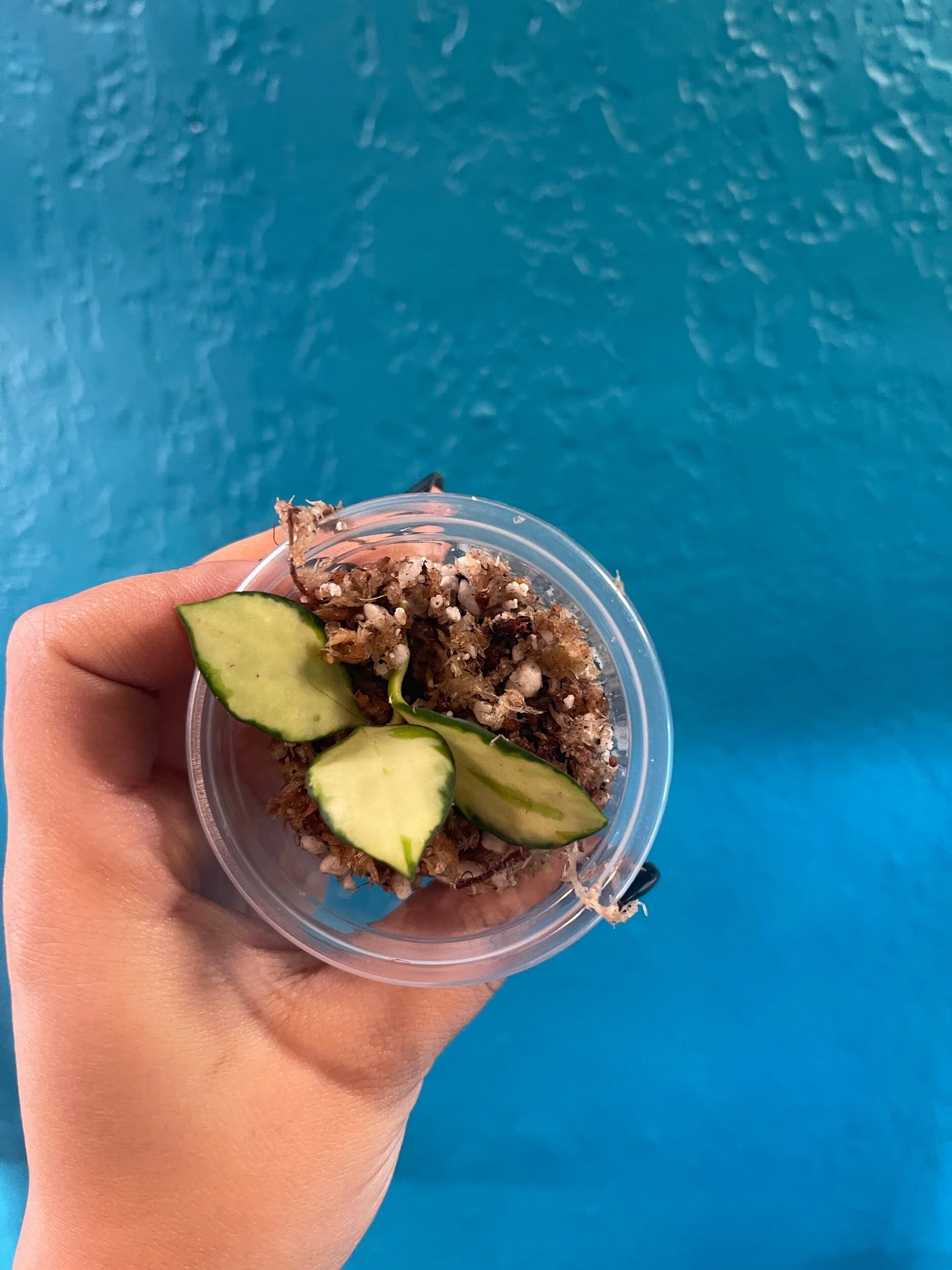 C6861ECA-56B2-440C-9934-B44A2B7E29AA