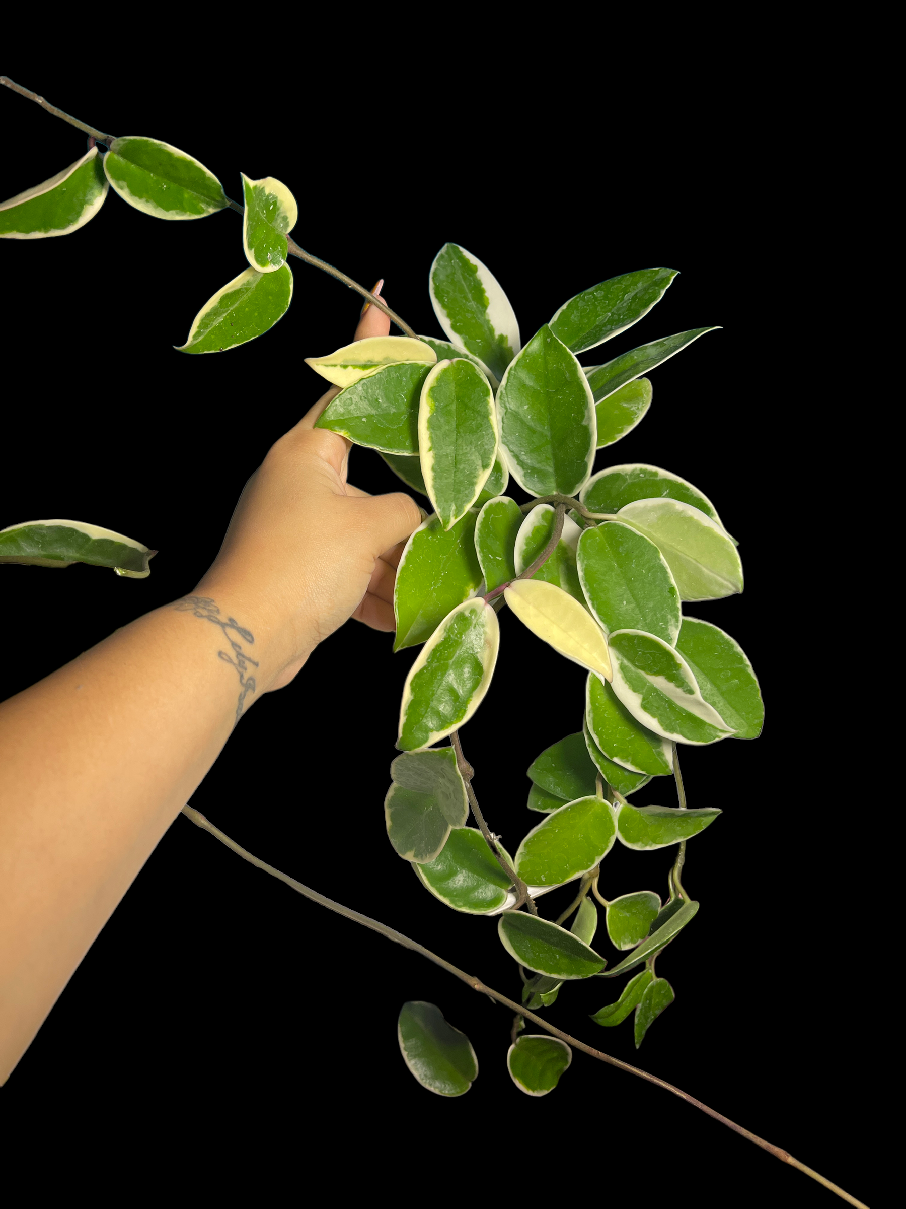 5F0DEF90-B3FF-4BA2-BEA7-5E1A0BB30CC1