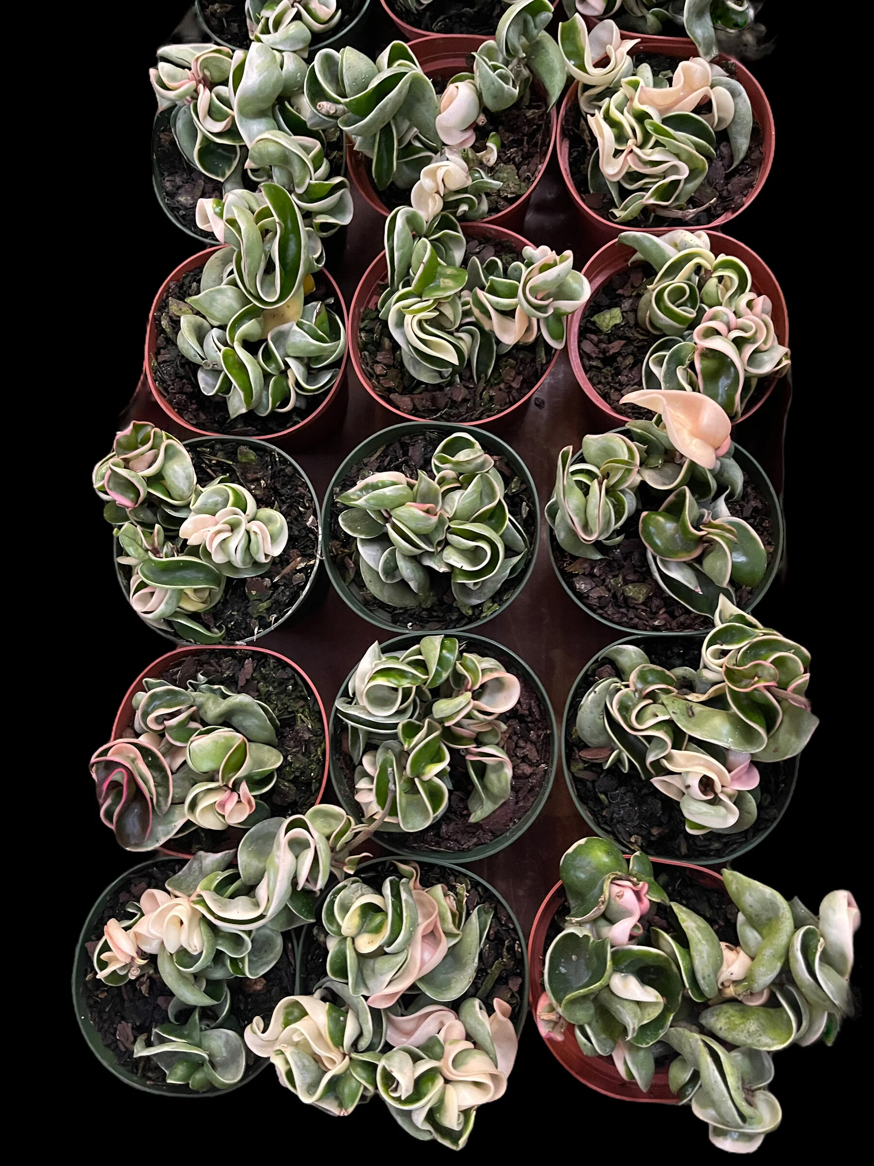 54D05E7F-13DC-43AF-A8B8-B80179A8E34A