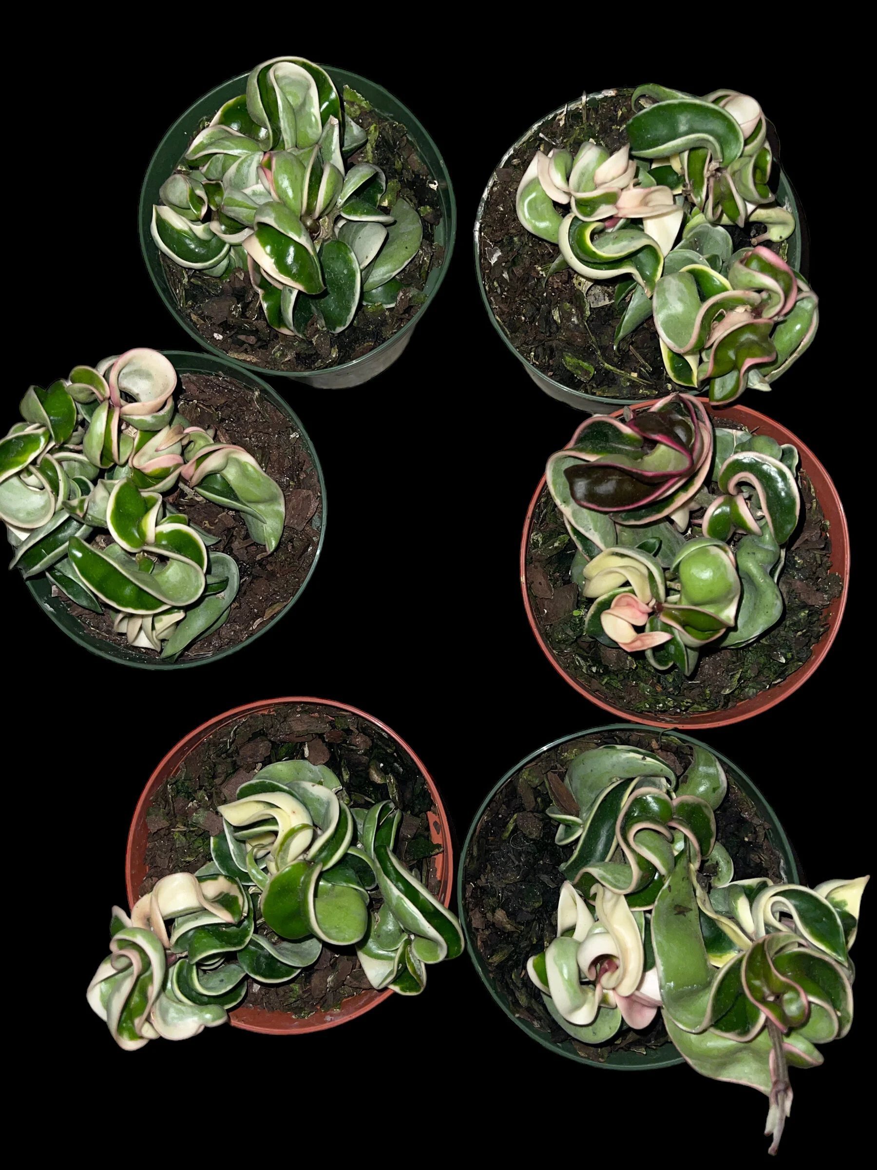 3F467848-6D90-4491-A7E3-4DB067883FBF