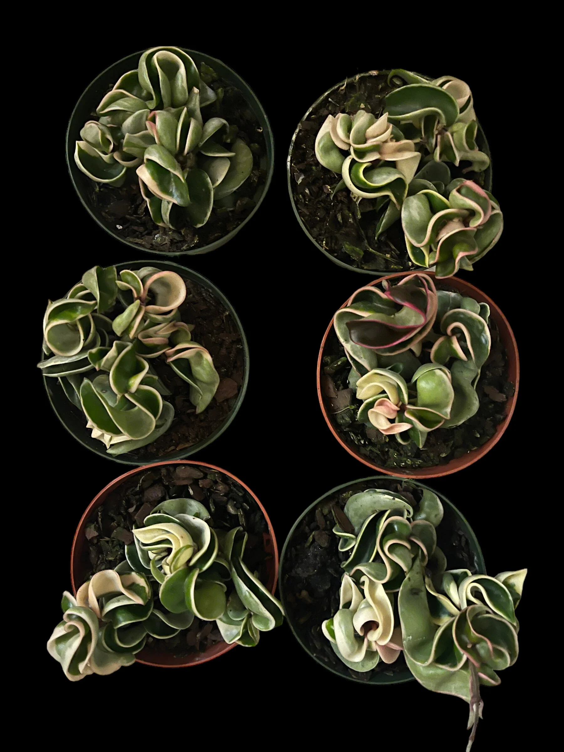 56ACF5E3-9711-4A34-92B4-0A0491475D09