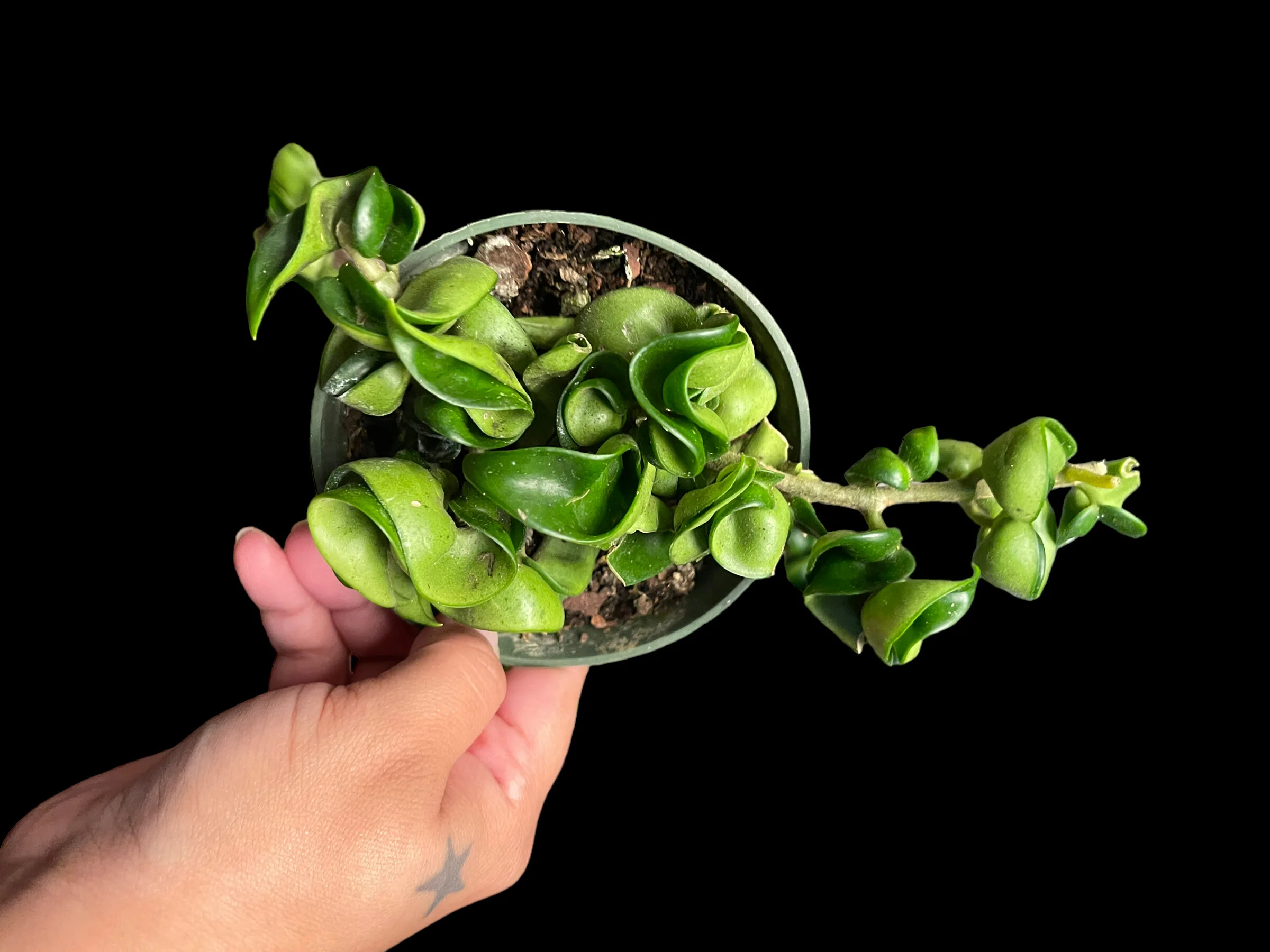 3633E89B-6356-417F-B1CE-DD3C317CD8AF