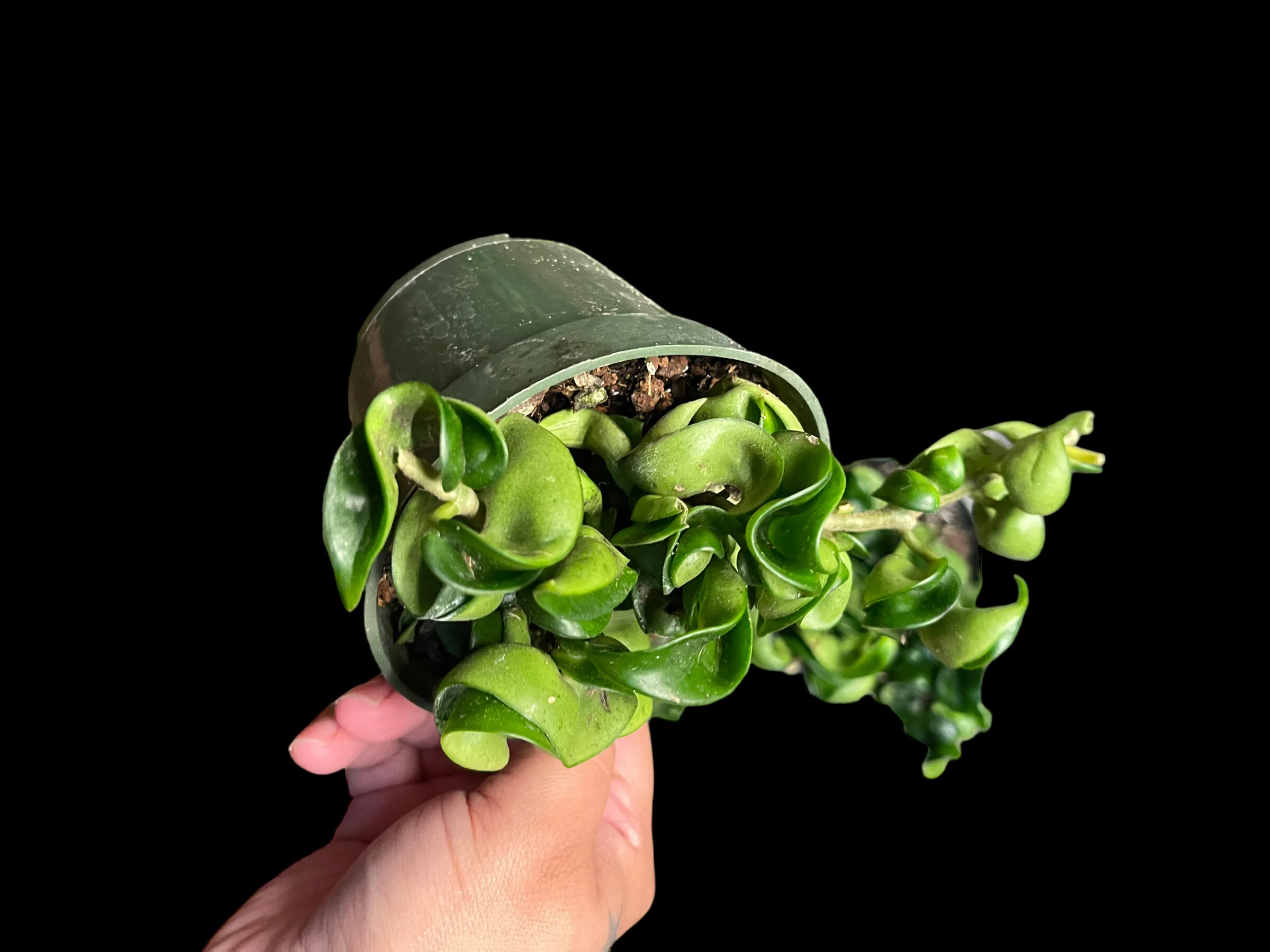 B2BDE41D-C22A-470A-91E2-0BA3CBBE8829