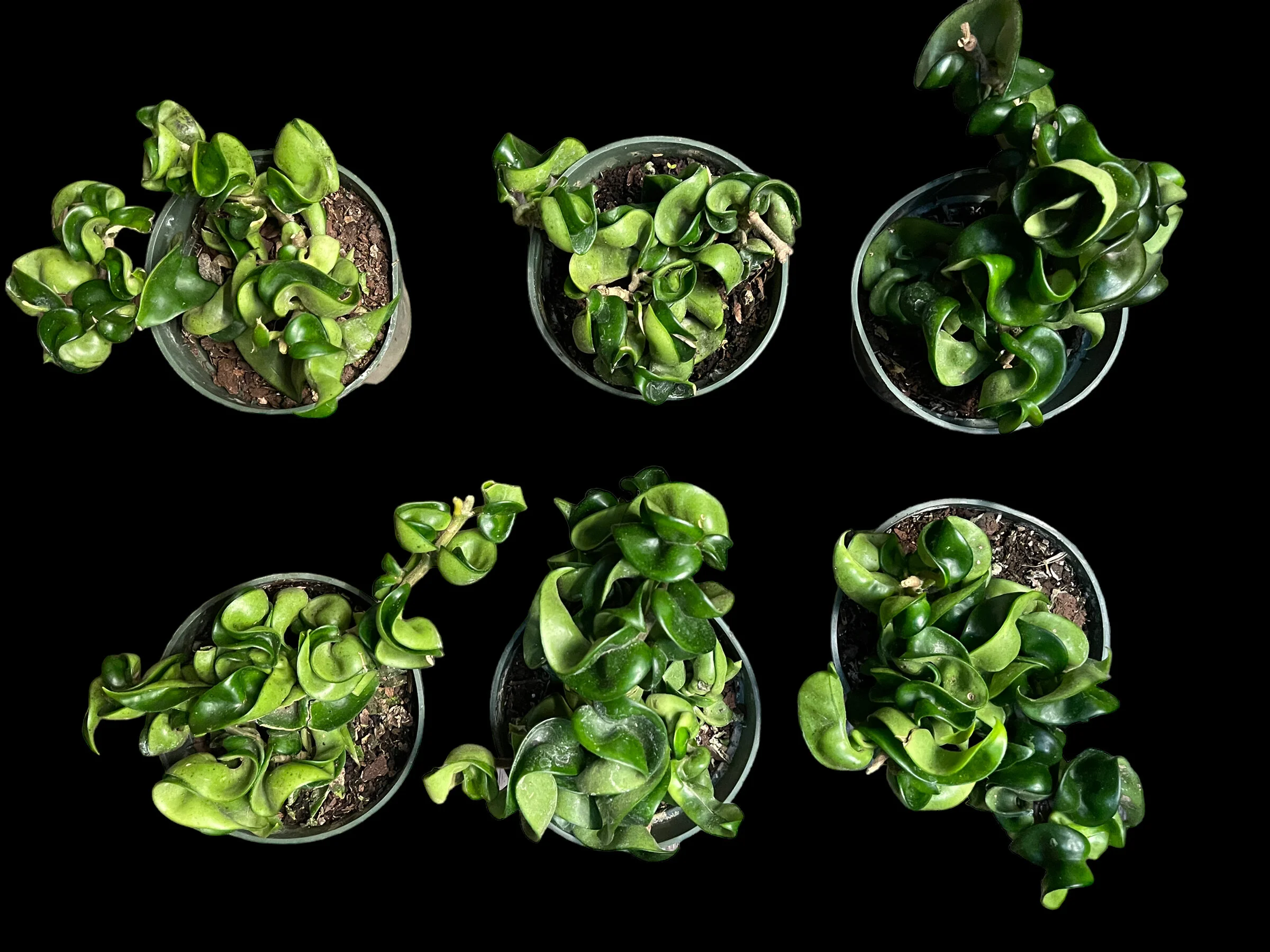 C9C96F44-F009-4099-9D3B-E4385BE5AD47