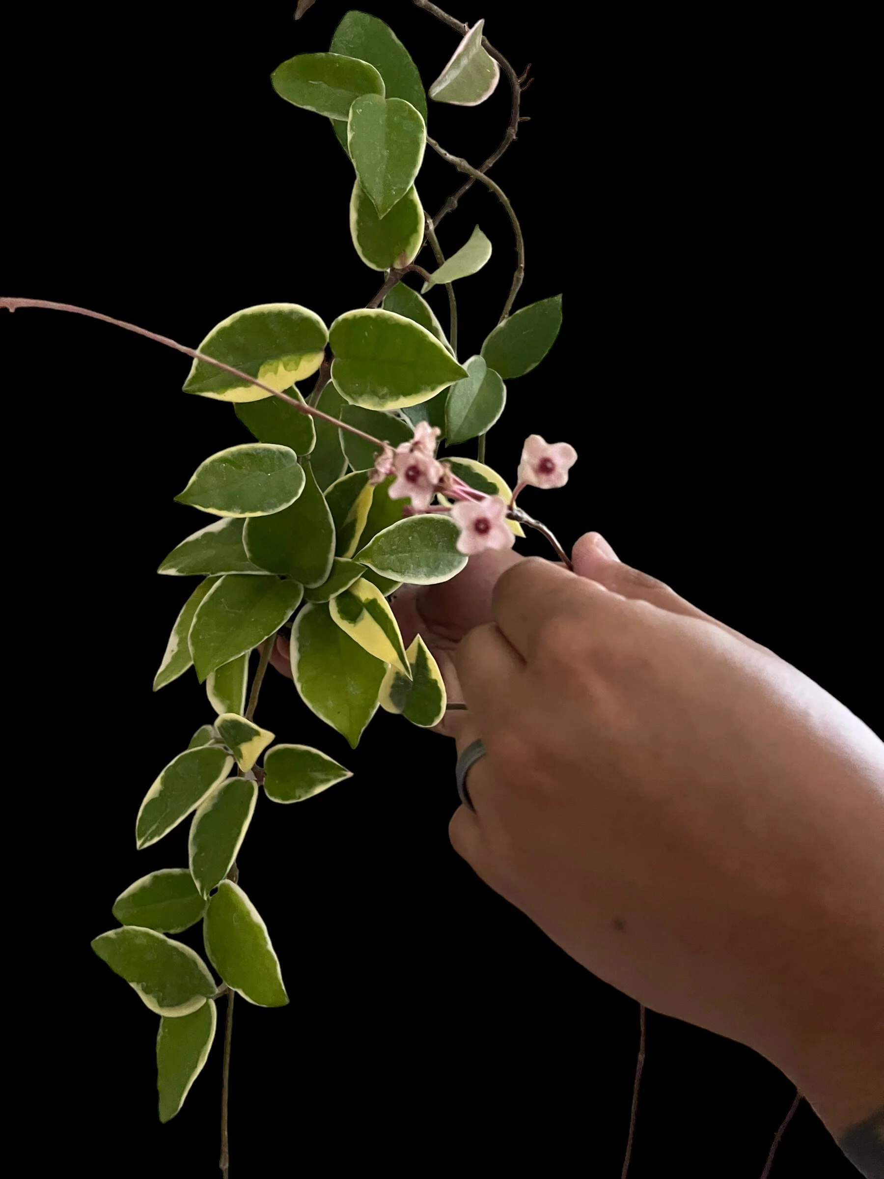 CFB3F8E4-ACC7-485A-91F5-4E5B9666C7C1