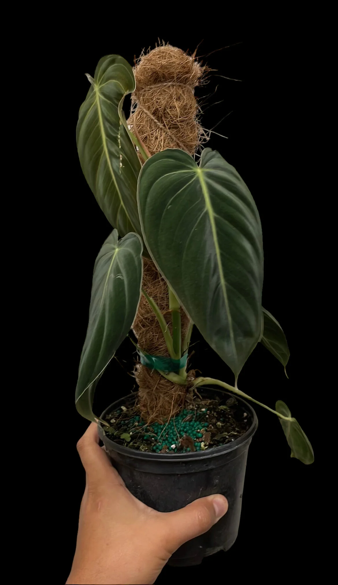 788CED05-C1DF-4CA0-9F2D-026015D2DAA5