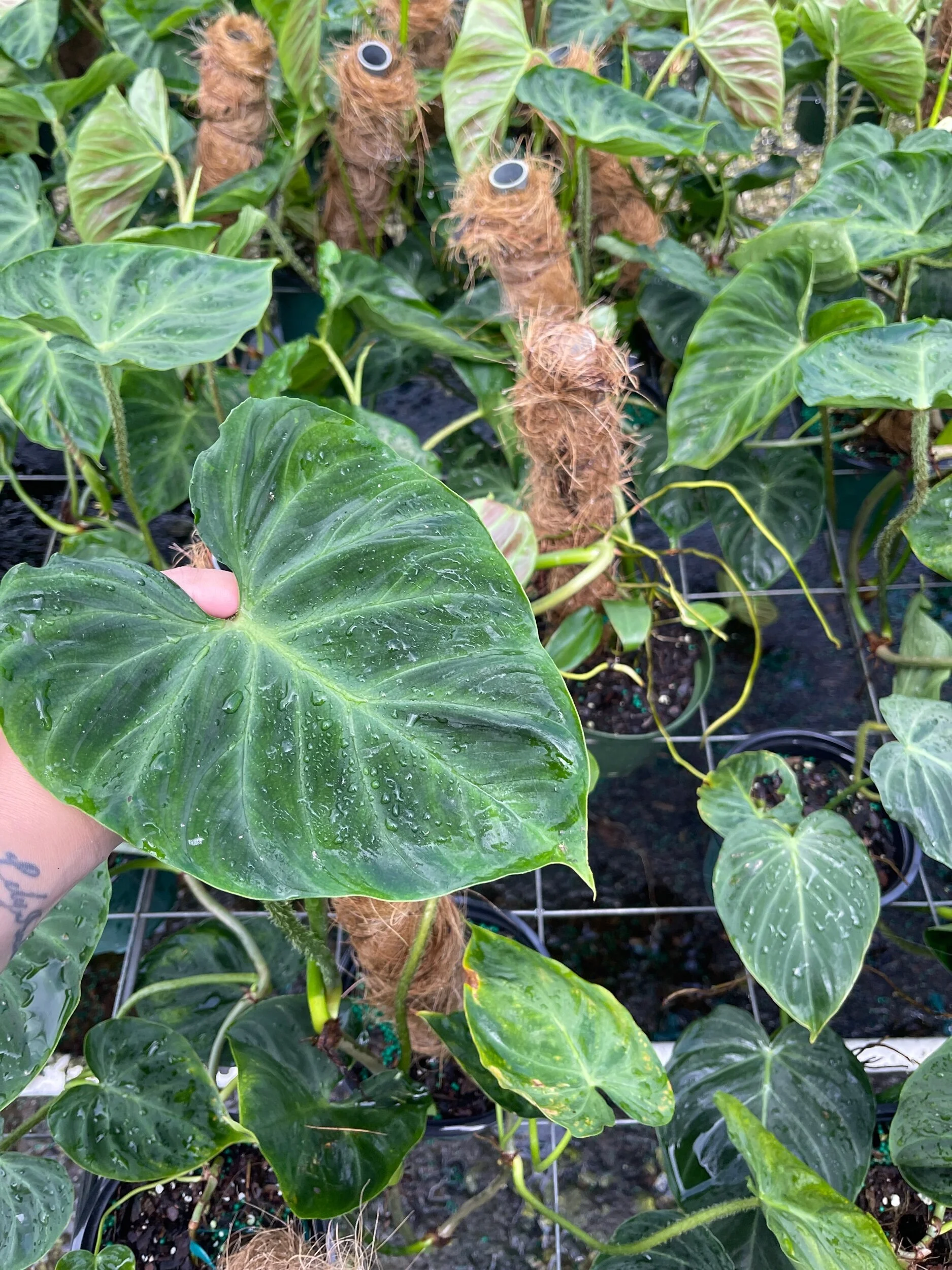 382C2BE5-03C3-470B-8C75-24FE69C90E2B